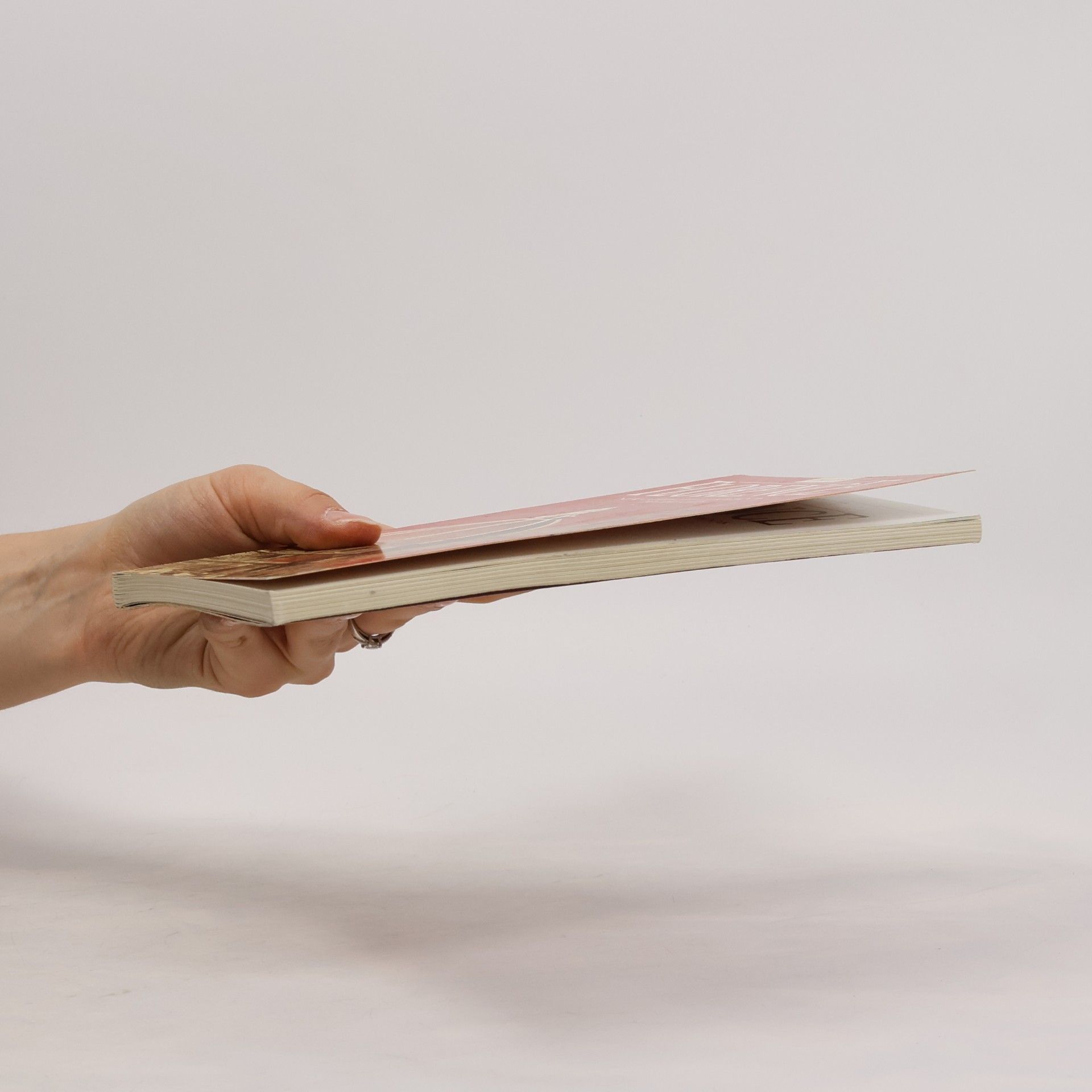 Autorenkollektiv Florence. New Complete Guidebook to the City