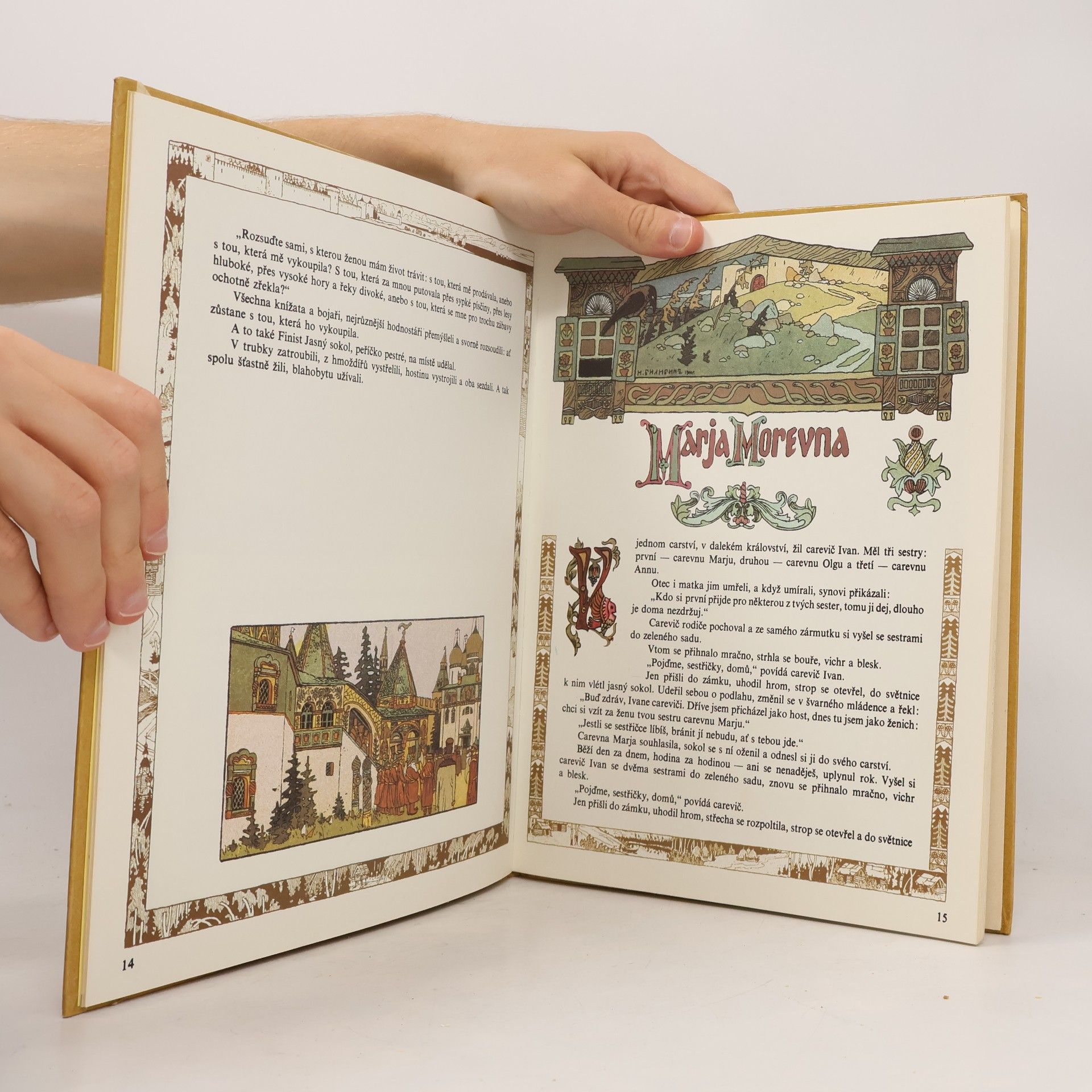 Autorenkollektiv Peříčko Finista Jasného sokola