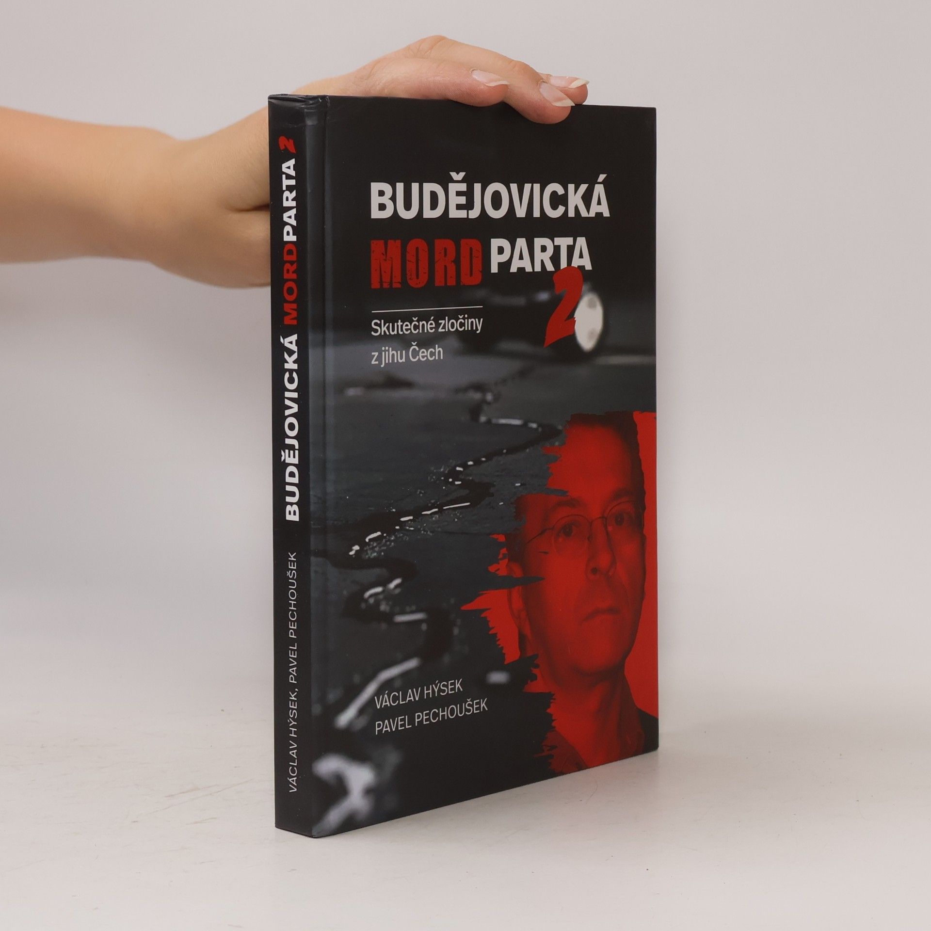 Budějovická mordparta 2 - Skutečné zločiny z jihu Čech