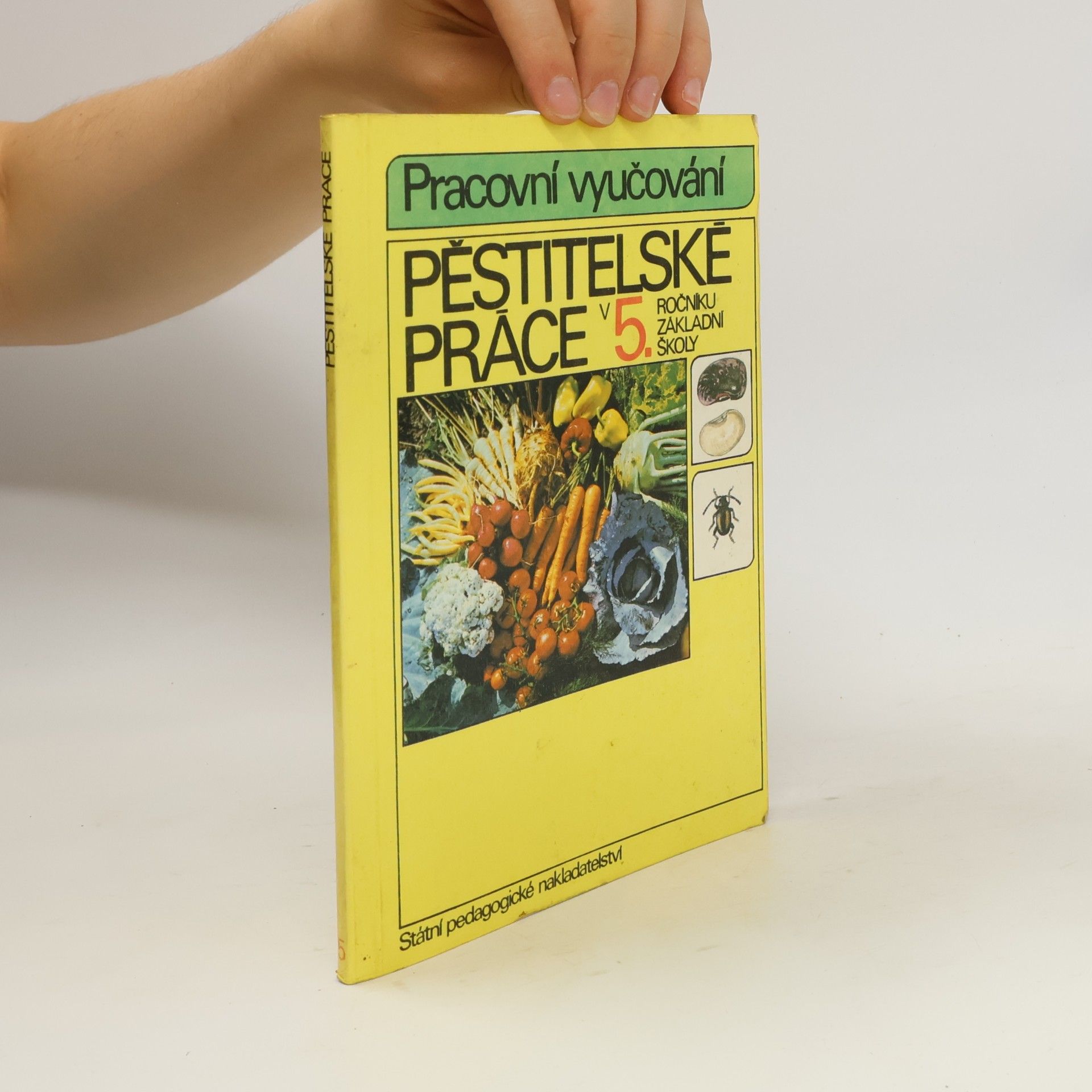Pěstitelské práce v 5. ročníku základní školy