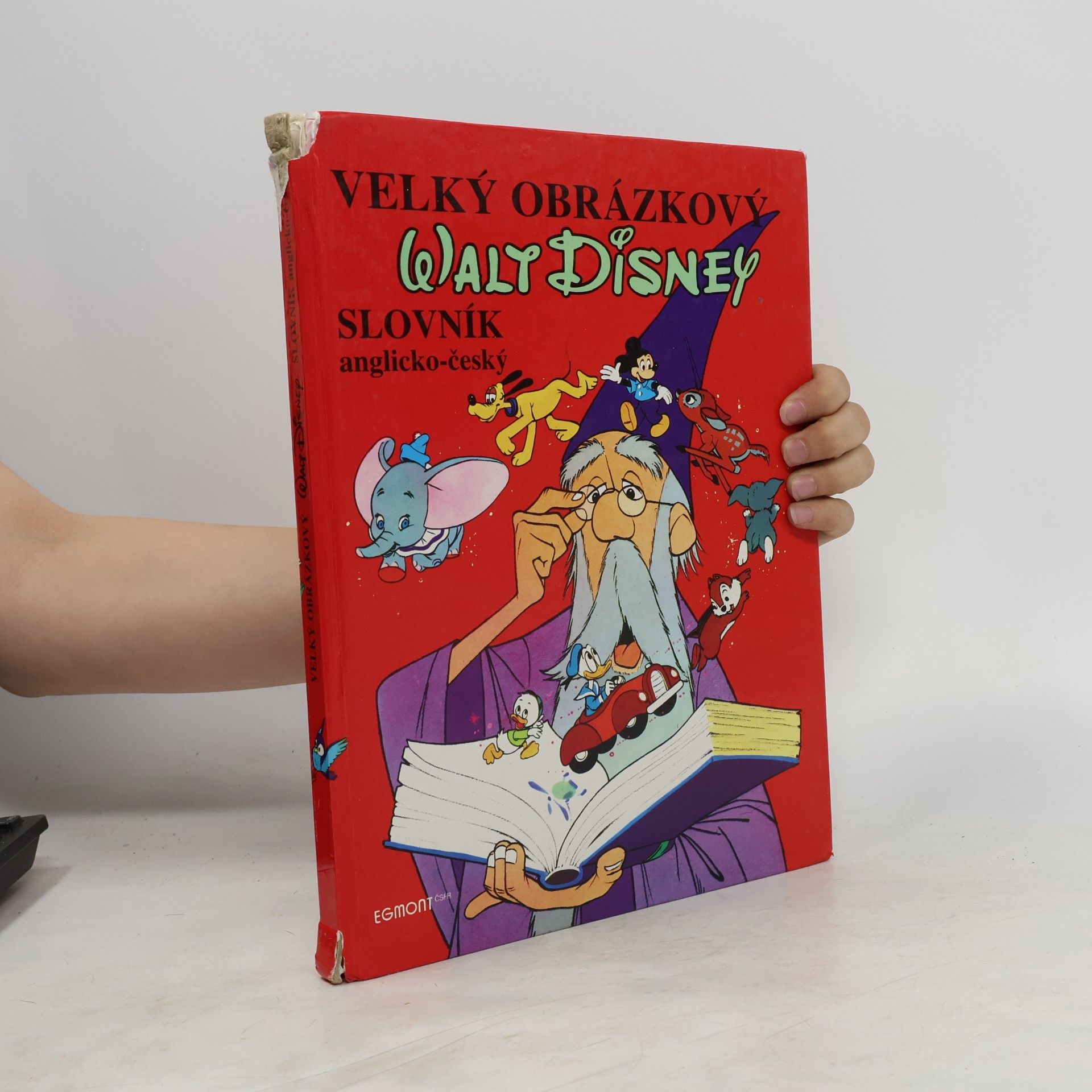 Walt Disney Velký obrázkový slovník anglicko-český