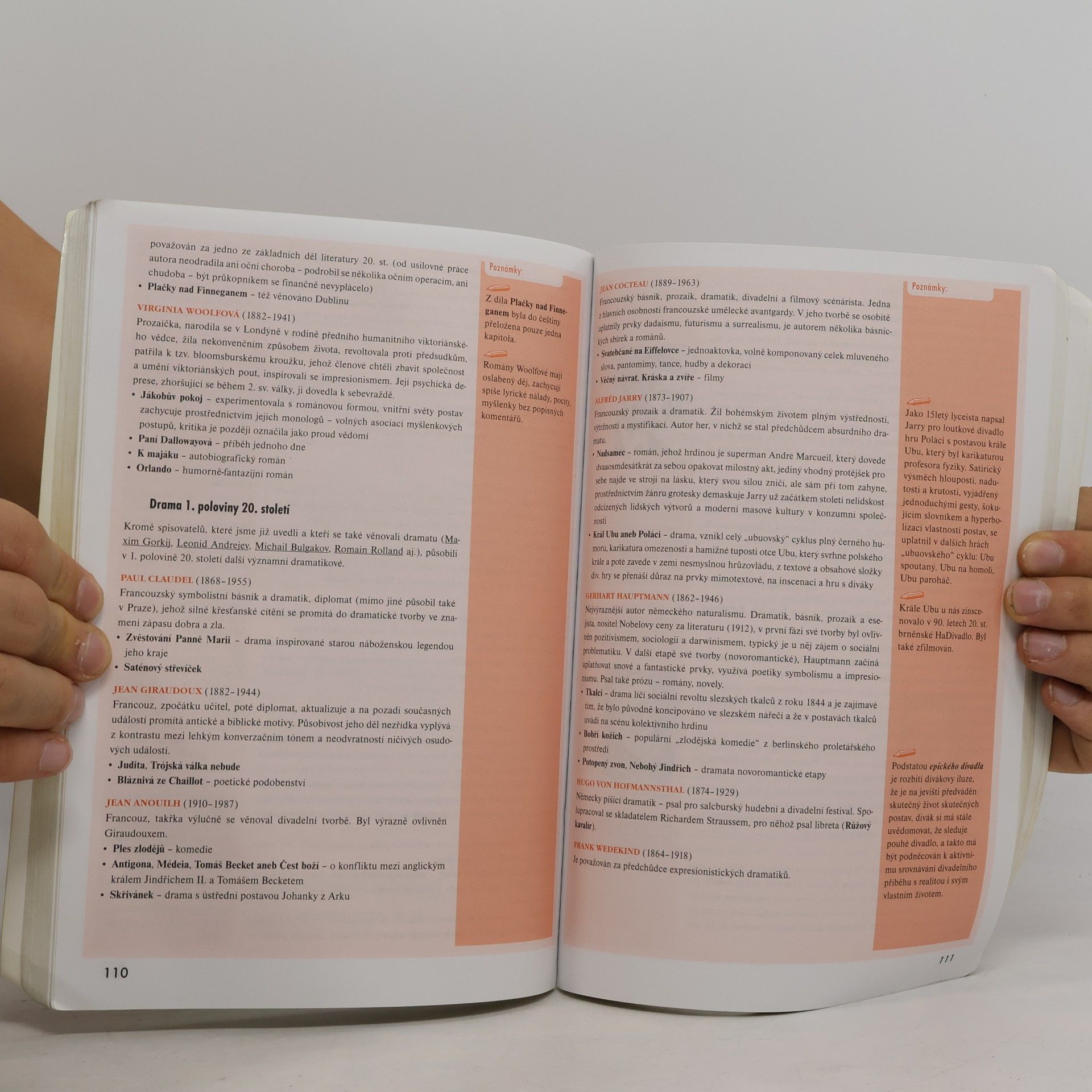 Eva Hánová Odmaturuj! z literatury
