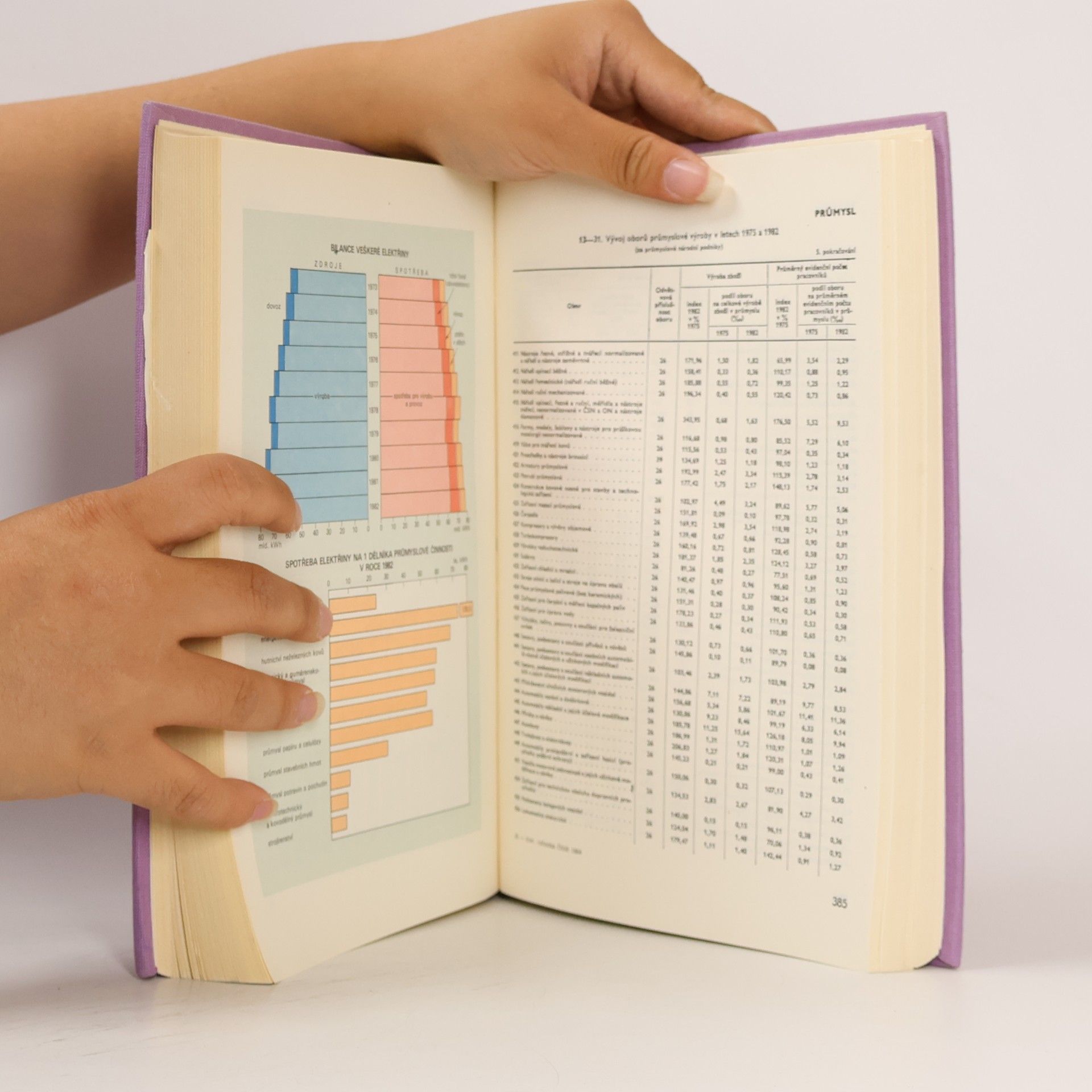 Kolektív autorov Statistická ročenka Československé socialistické republiky 1984