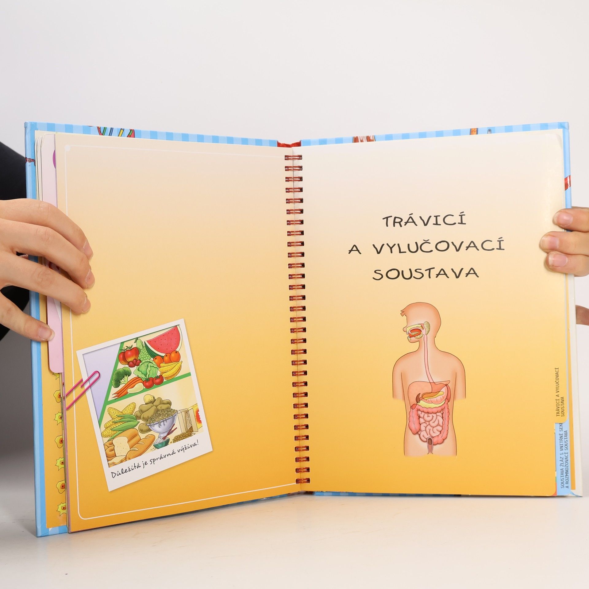Autorenkollektiv Lidské tělo - moje první knížka o lidském těle