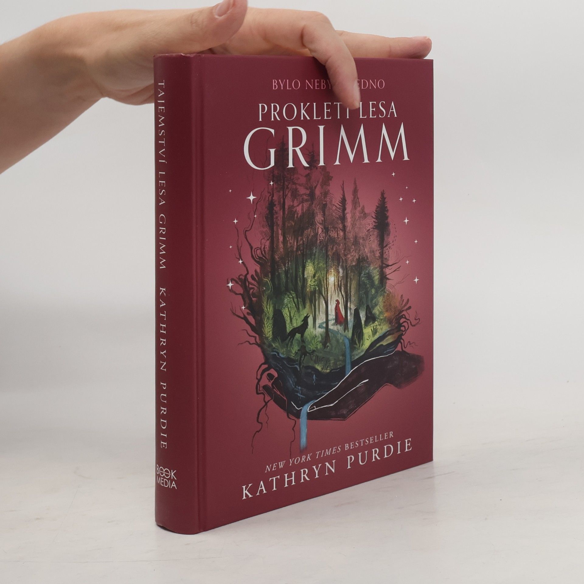 Prokletí lesa Grimm