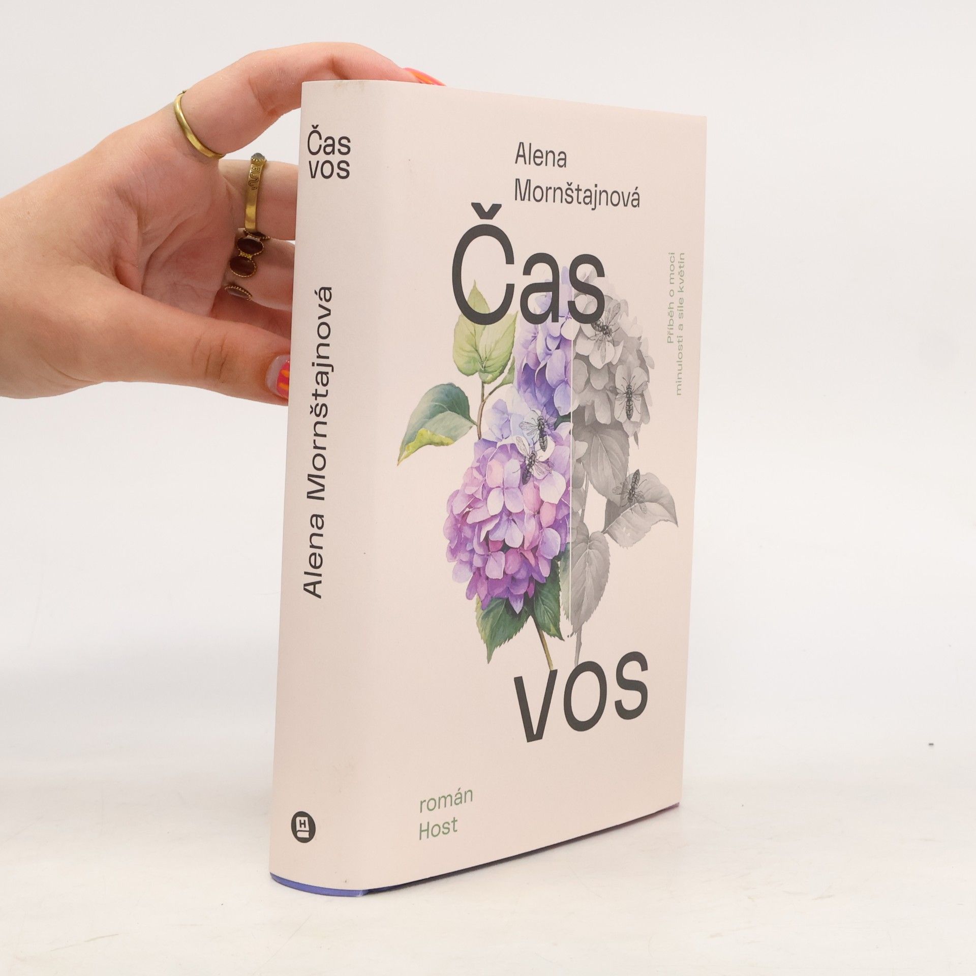 Alena Mornštajnová Čas vos