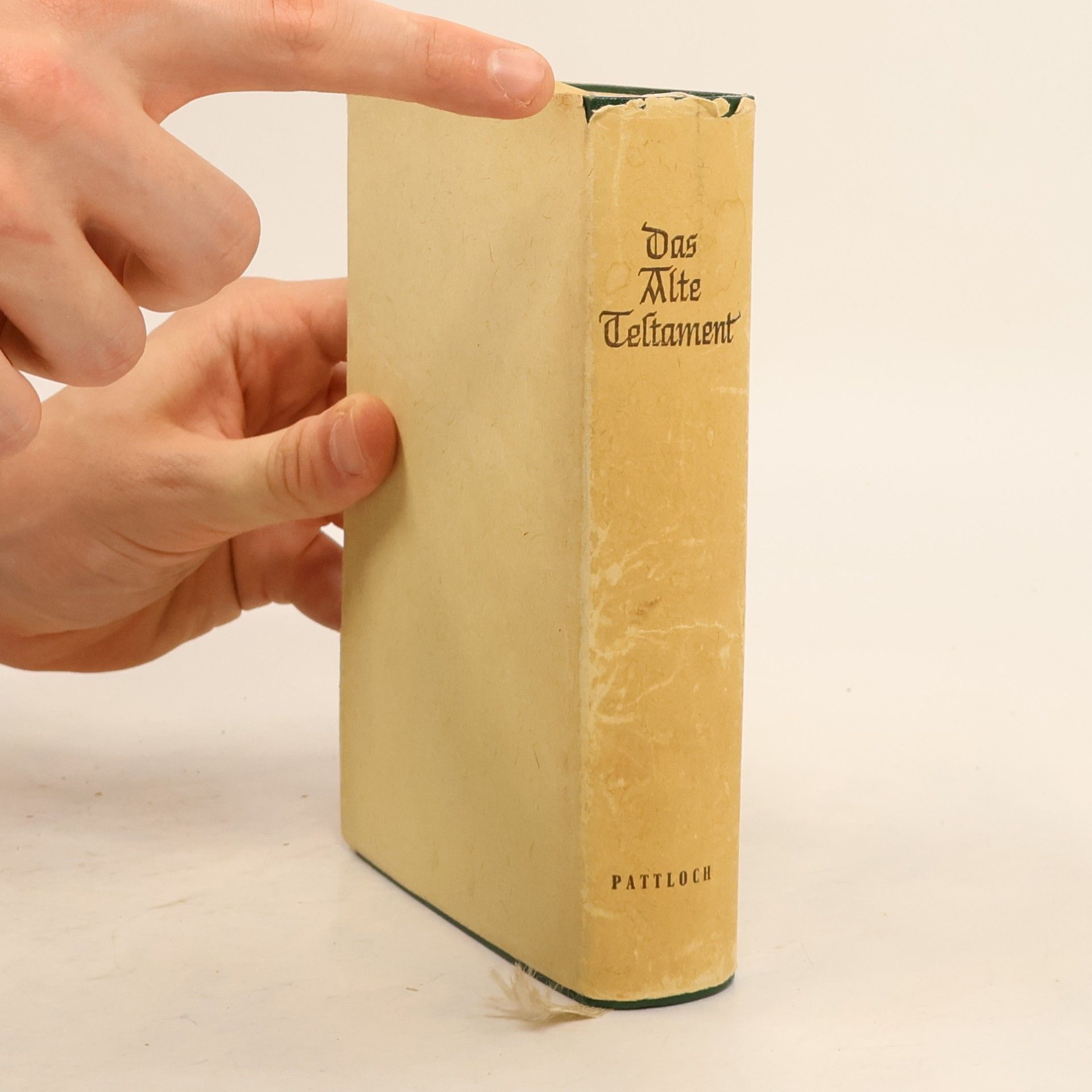 Vinzenz Hamp Das Alte Testament