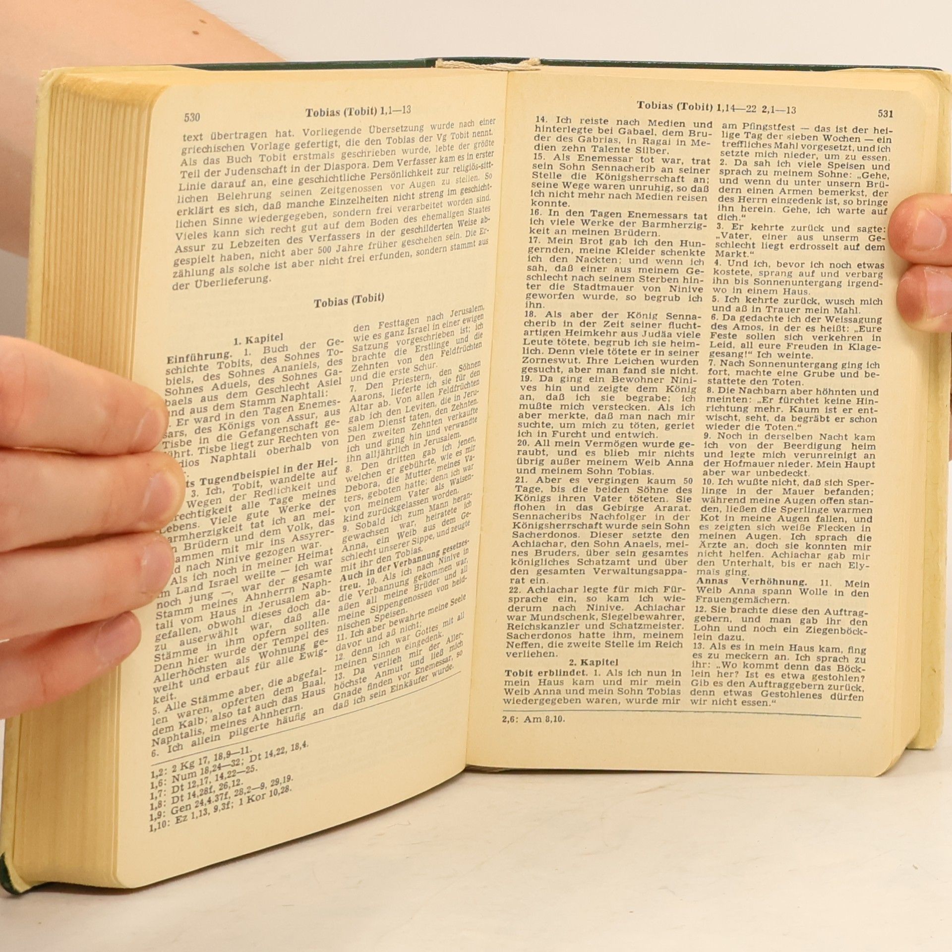 Vinzenz Hamp Das Alte Testament