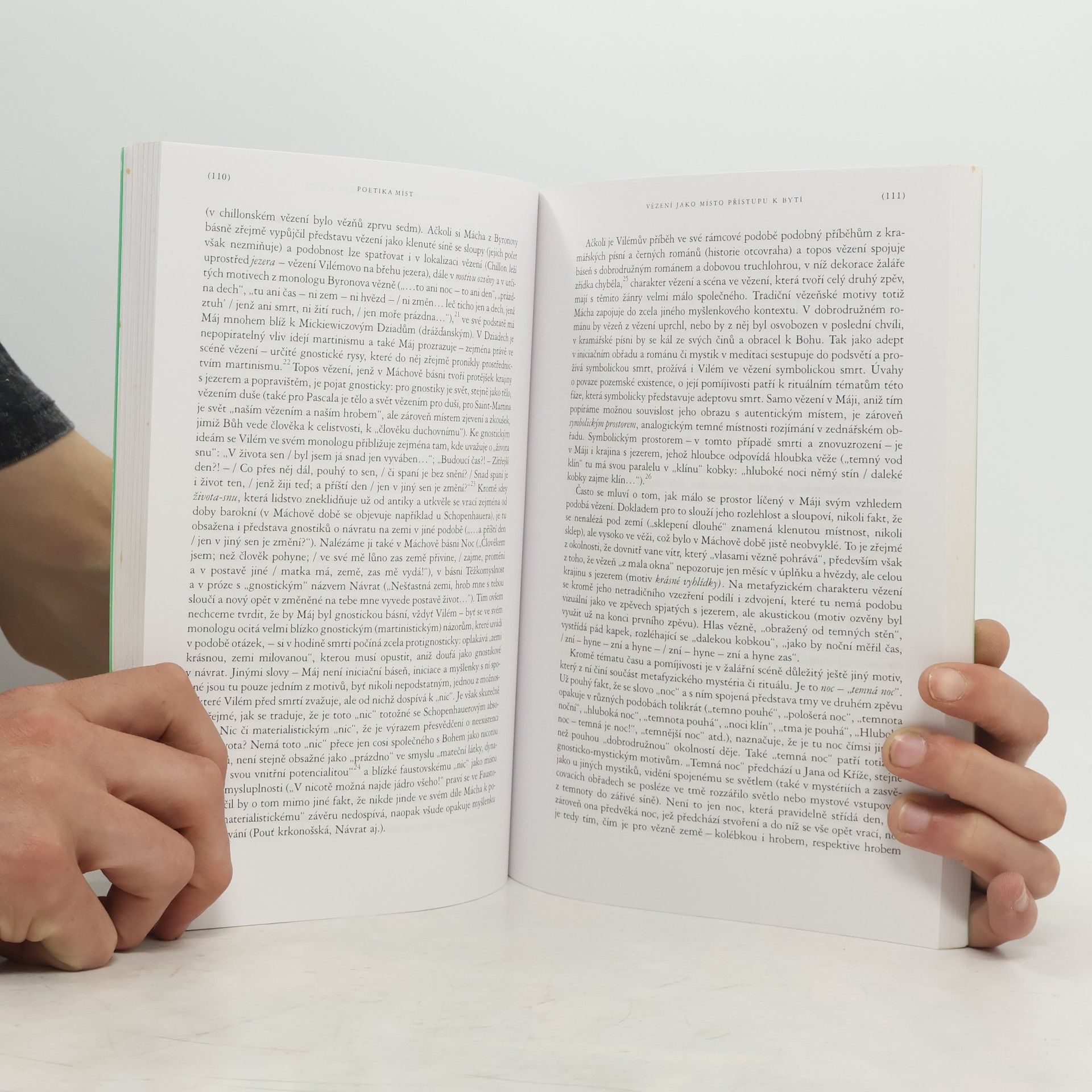 Daniela Hodrová Poetika míst