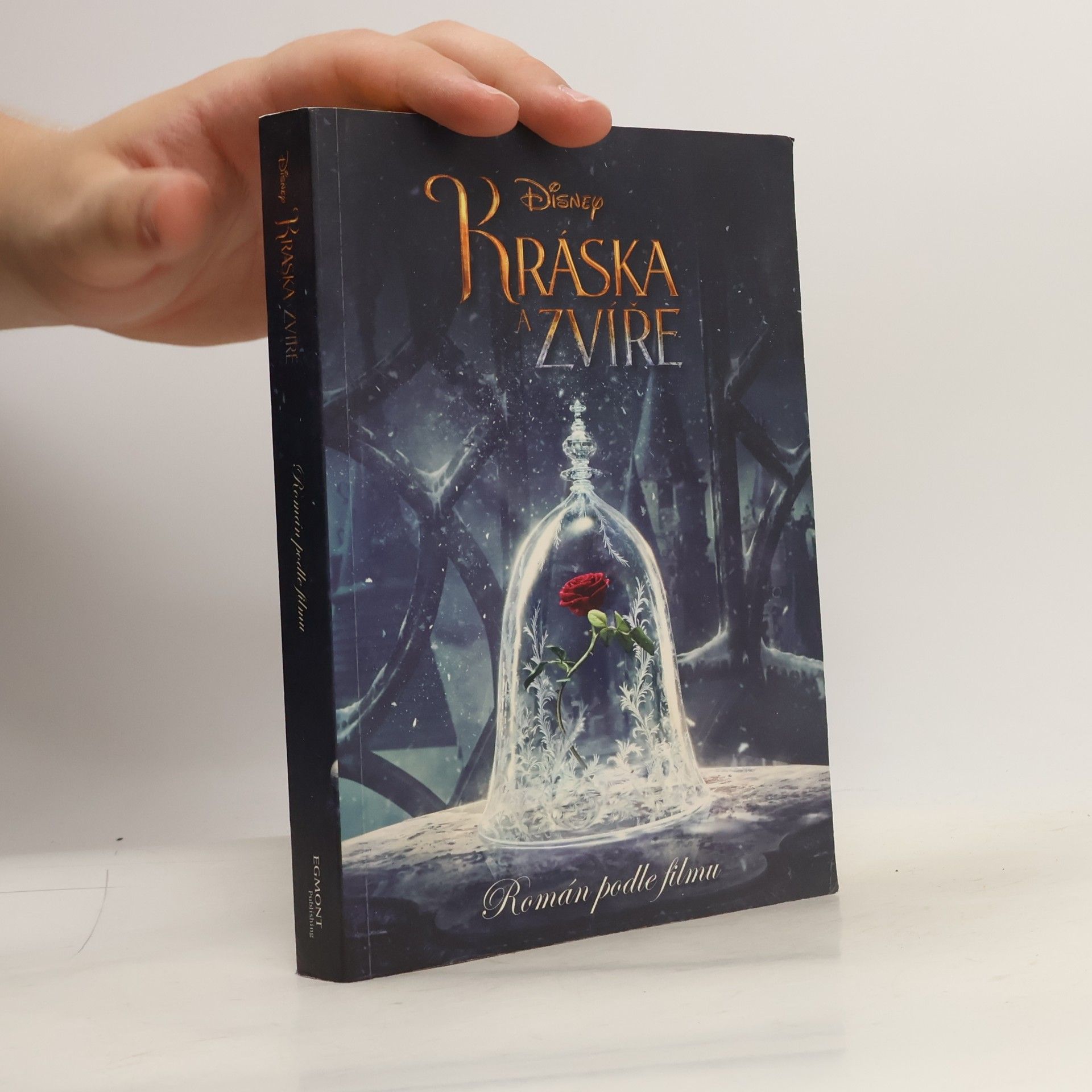 Elizabeth Rudnick Kráska a Zvíře