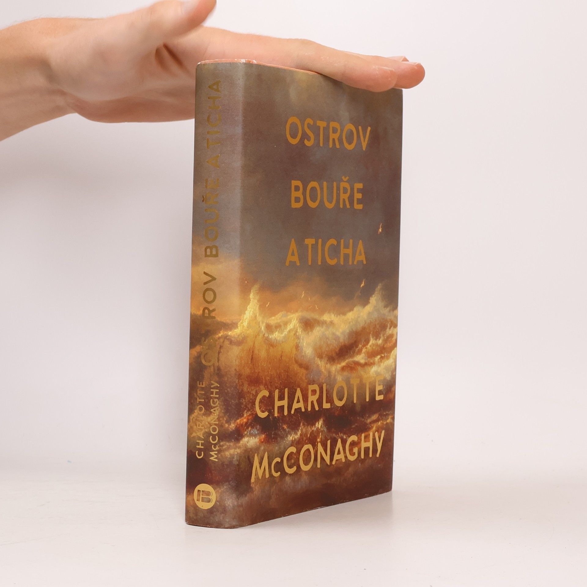CHARLOTTE. MCCONAGHY Ostrov bouře a ticha