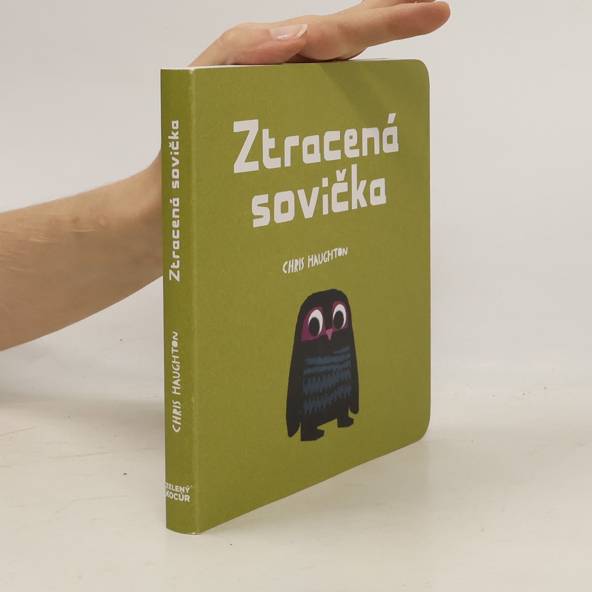 Chris Haughton Ztracená sovička