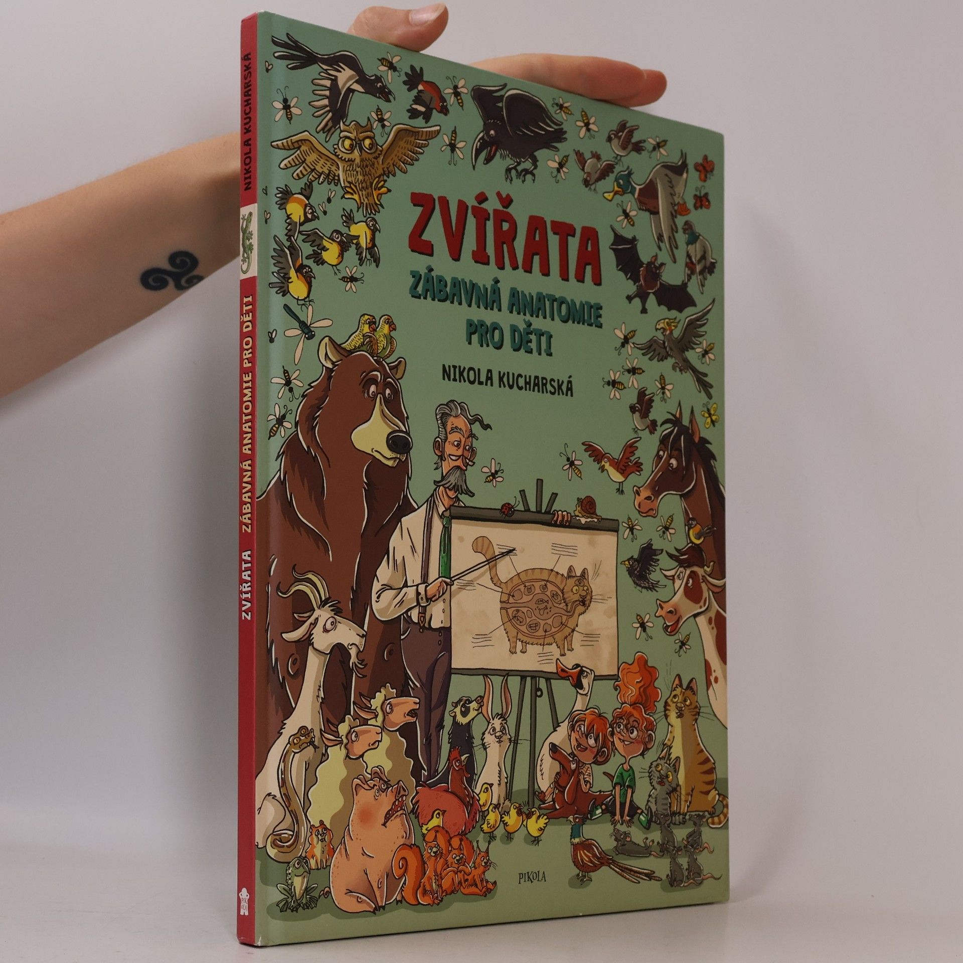 Nikola Kucharska Zvířata: Zábavná anatomie pro děti