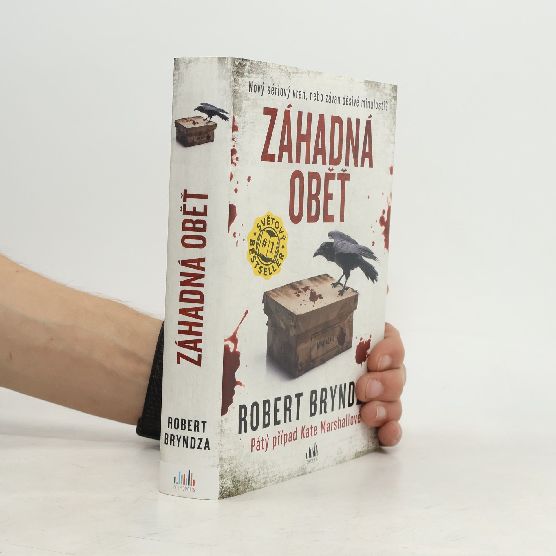 Robert Bryndza Záhadná oběť
