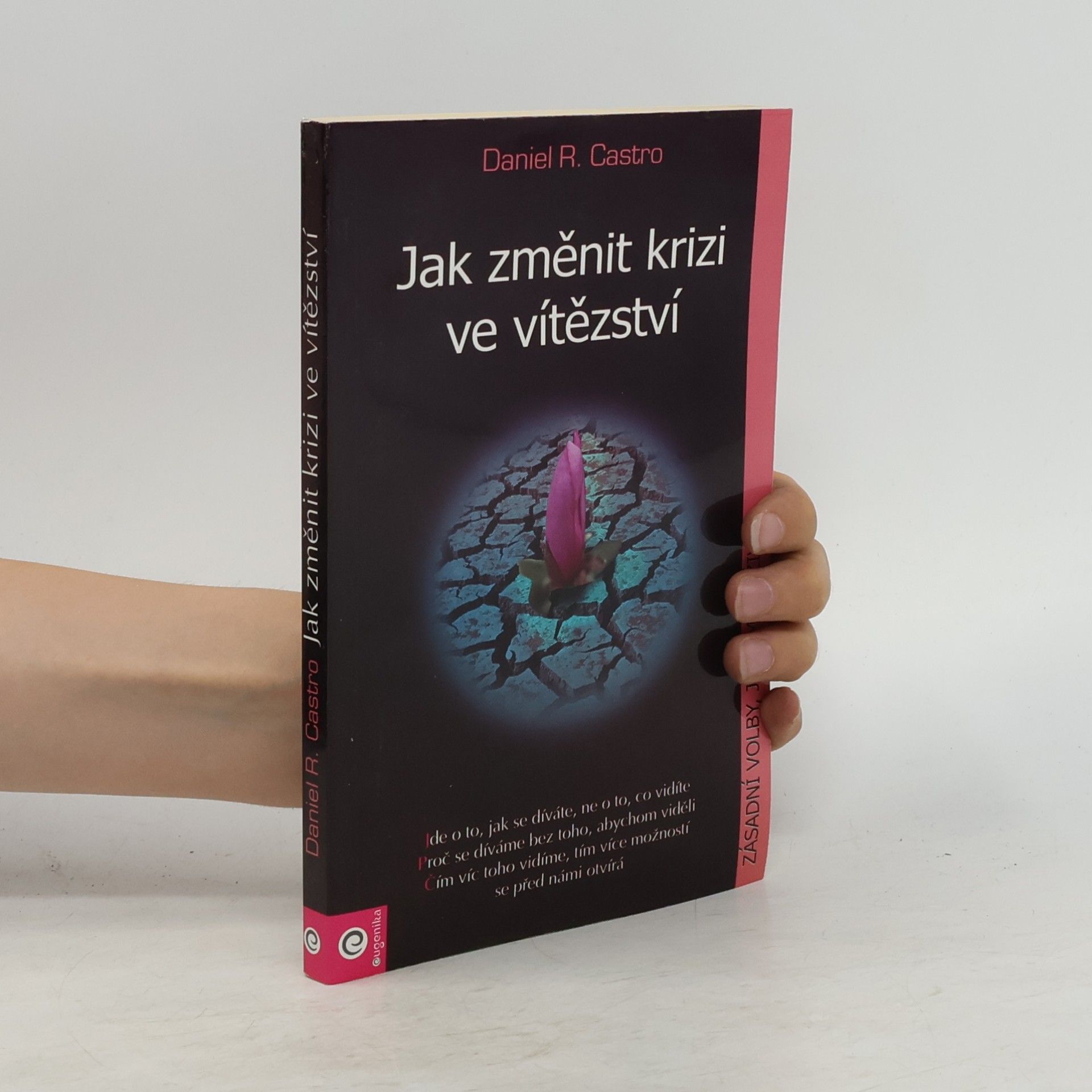 Daniel R. Castro Jak změnit krizi ve vítězství
