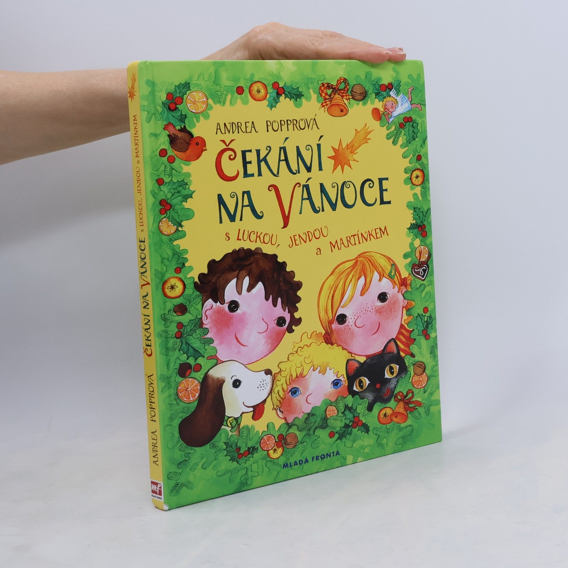 Andrea Popprová Čekání na Vánoce : s Luckou, Jendou a Martínkem