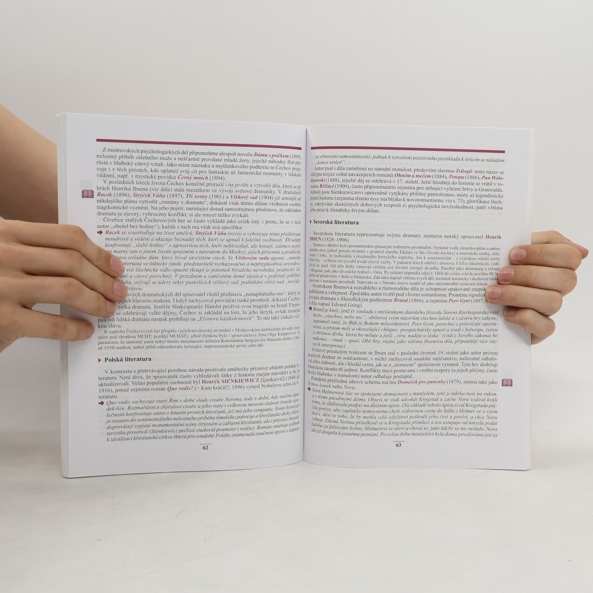 Josef Soukal Přehled dějin literatury pro střední školy 2. Česká a světová literatura 19. století