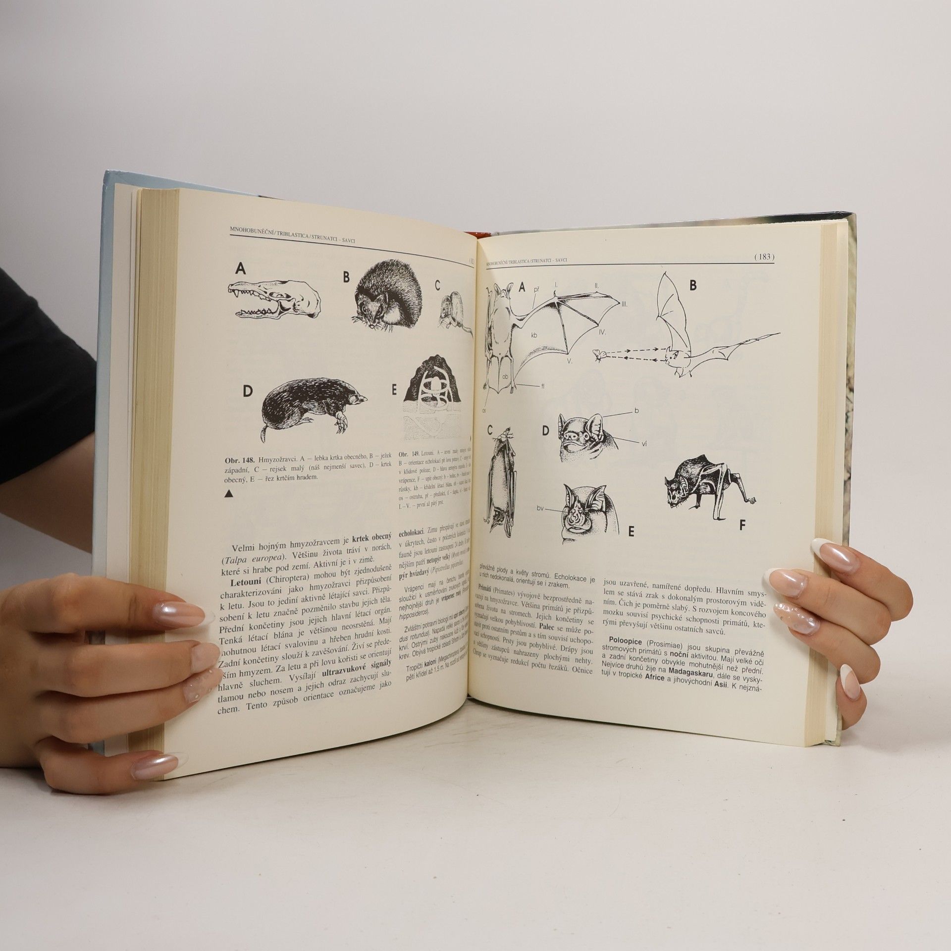 Miroslav Papáček Zoologie