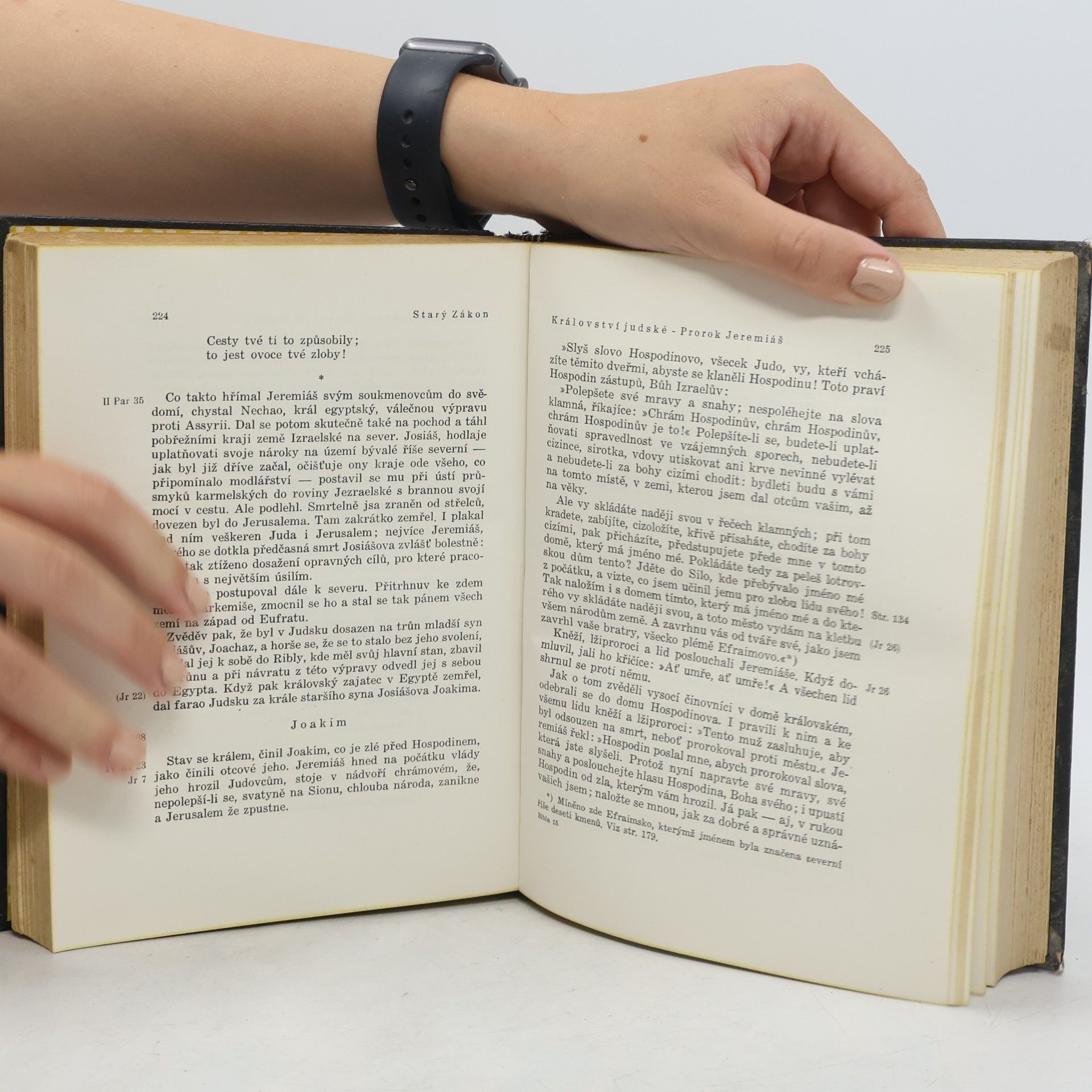 Antonín Špale Bible. Její postavy a děje