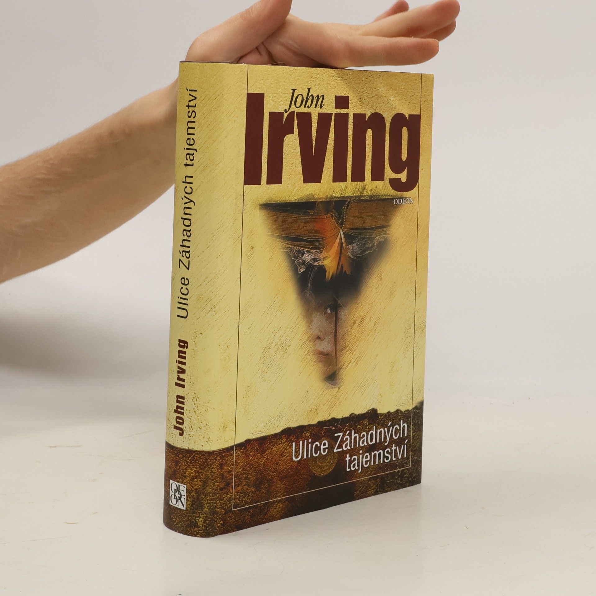 John Irving Ulice Záhadných tajemství