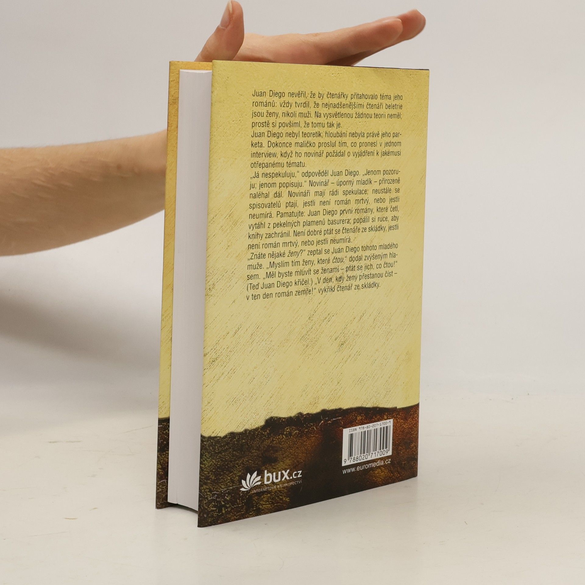 John Irving Ulice Záhadných tajemství