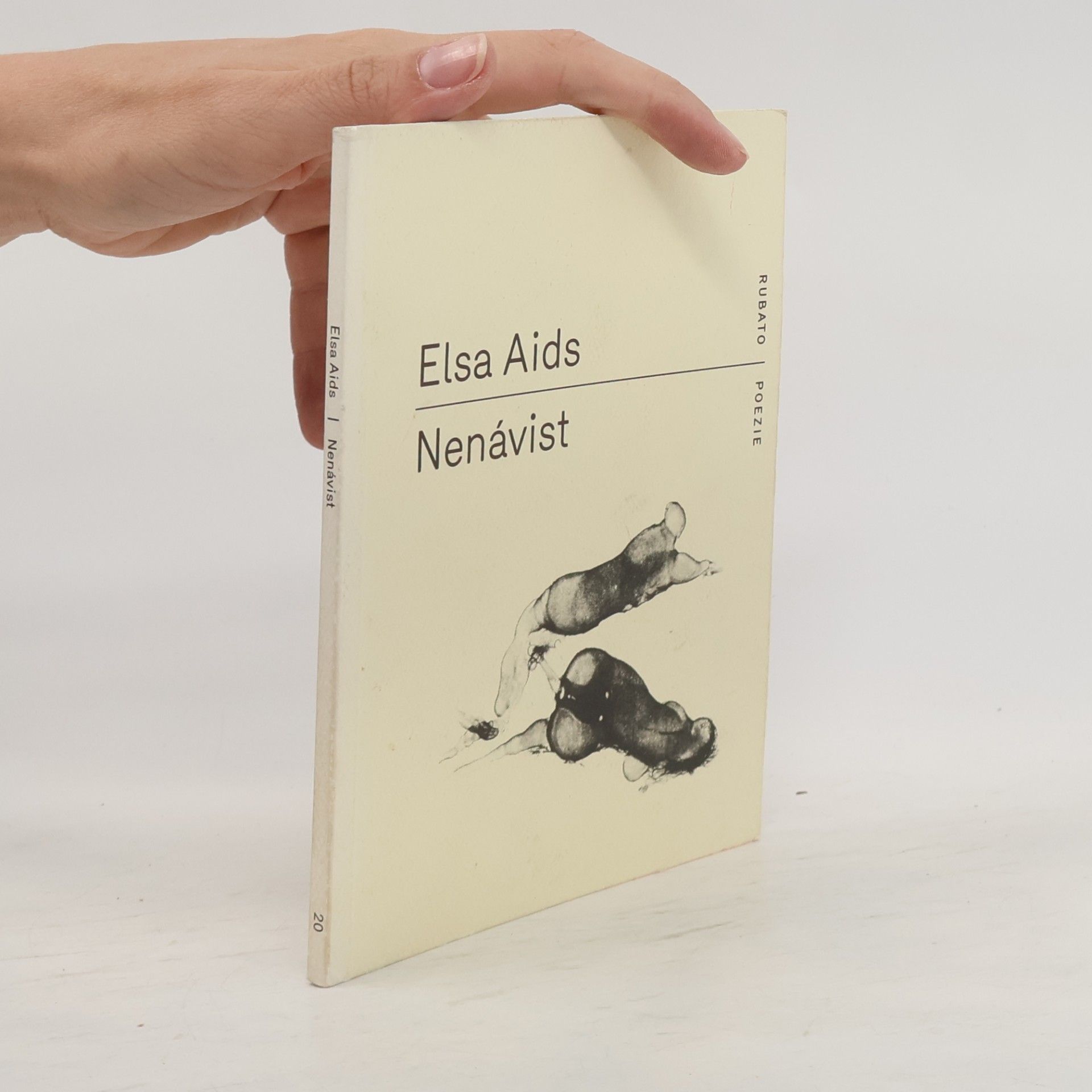 Elsa Aids Nenávist