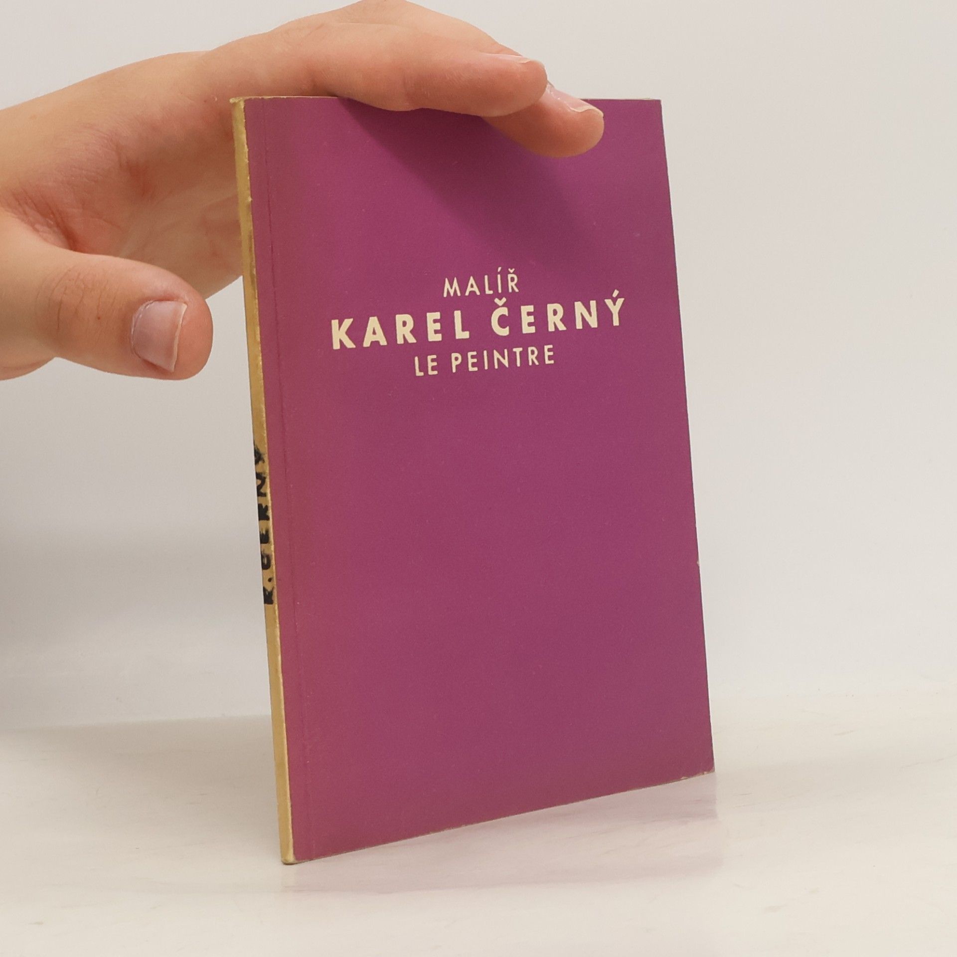 Karel Černý Malíř Karel Černý. Le peintre