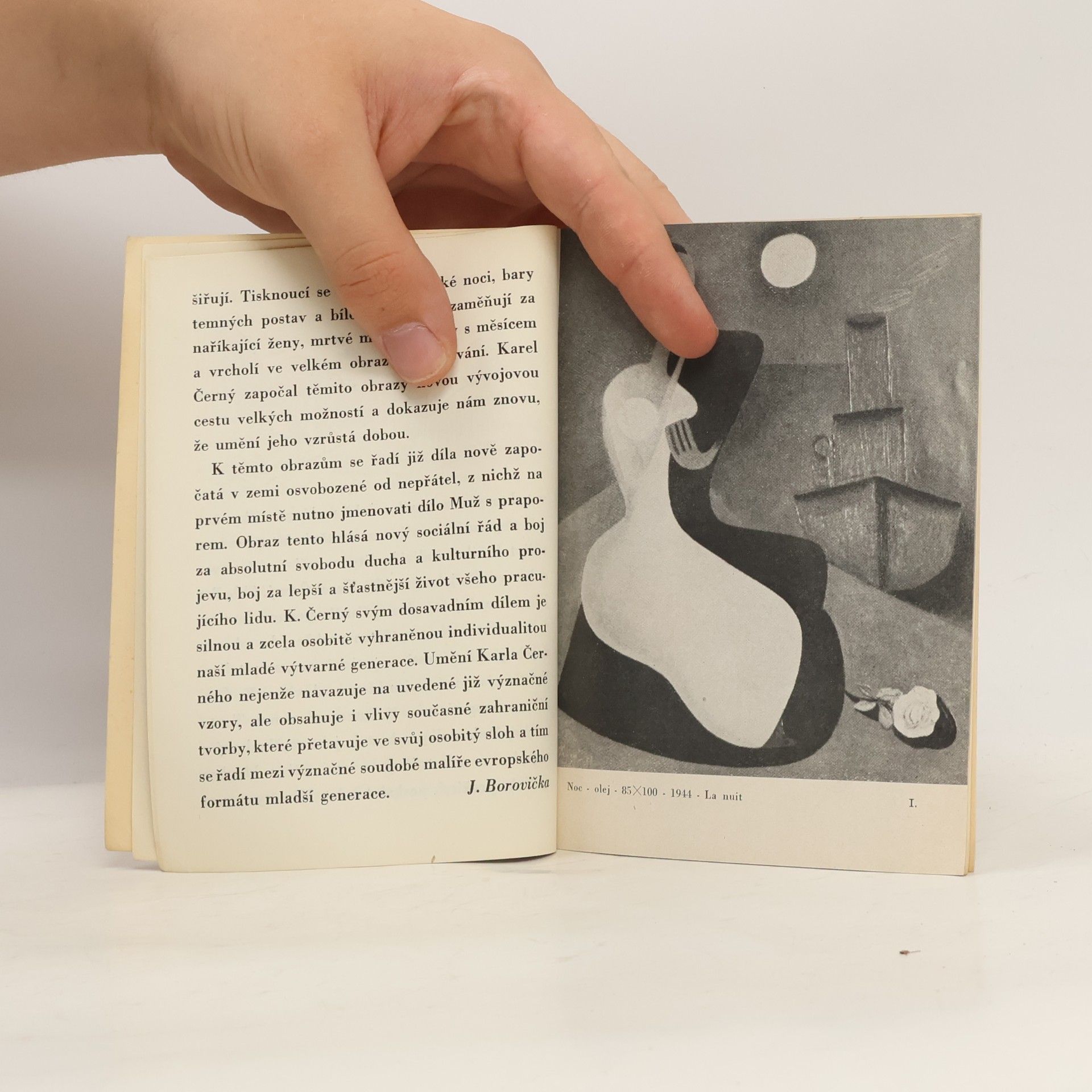 Karel Černý Malíř Karel Černý. Le peintre