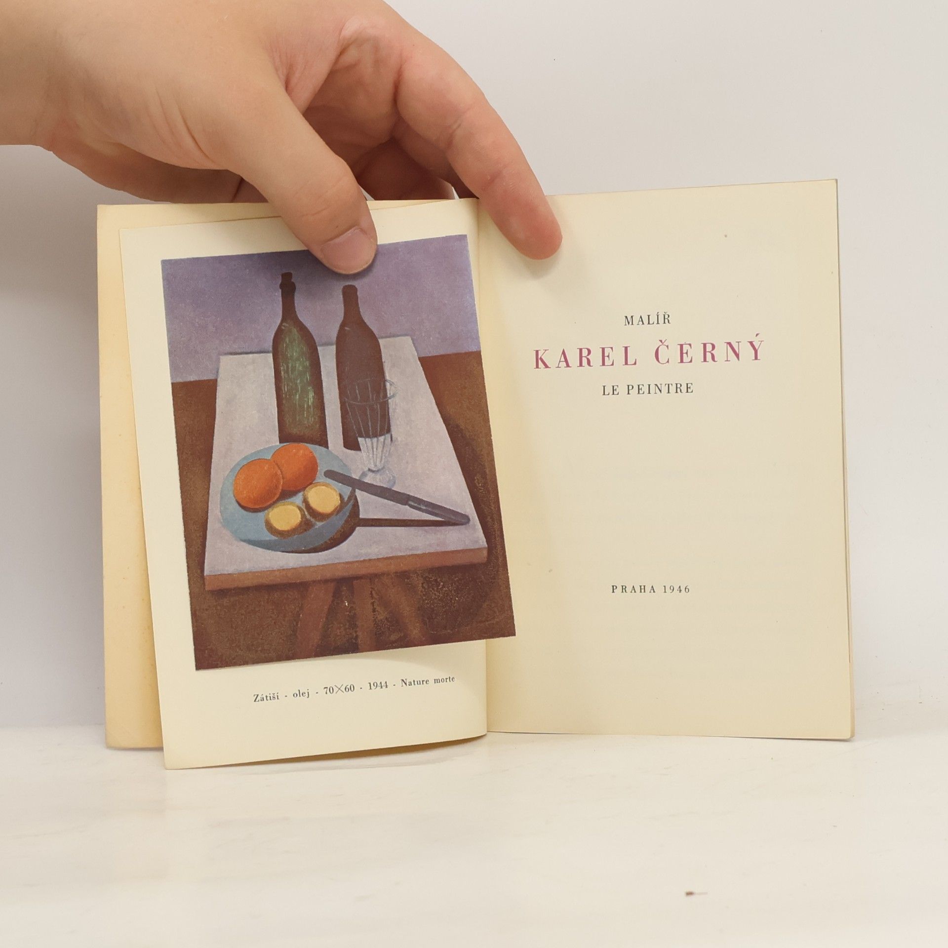 Karel Černý Malíř Karel Černý. Le peintre