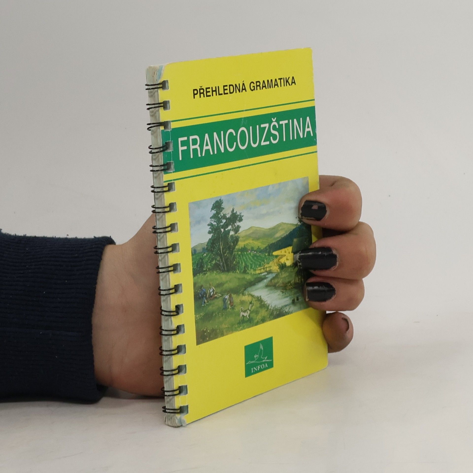 Jana Navrátilová Francouzština: Přehledná gramatika