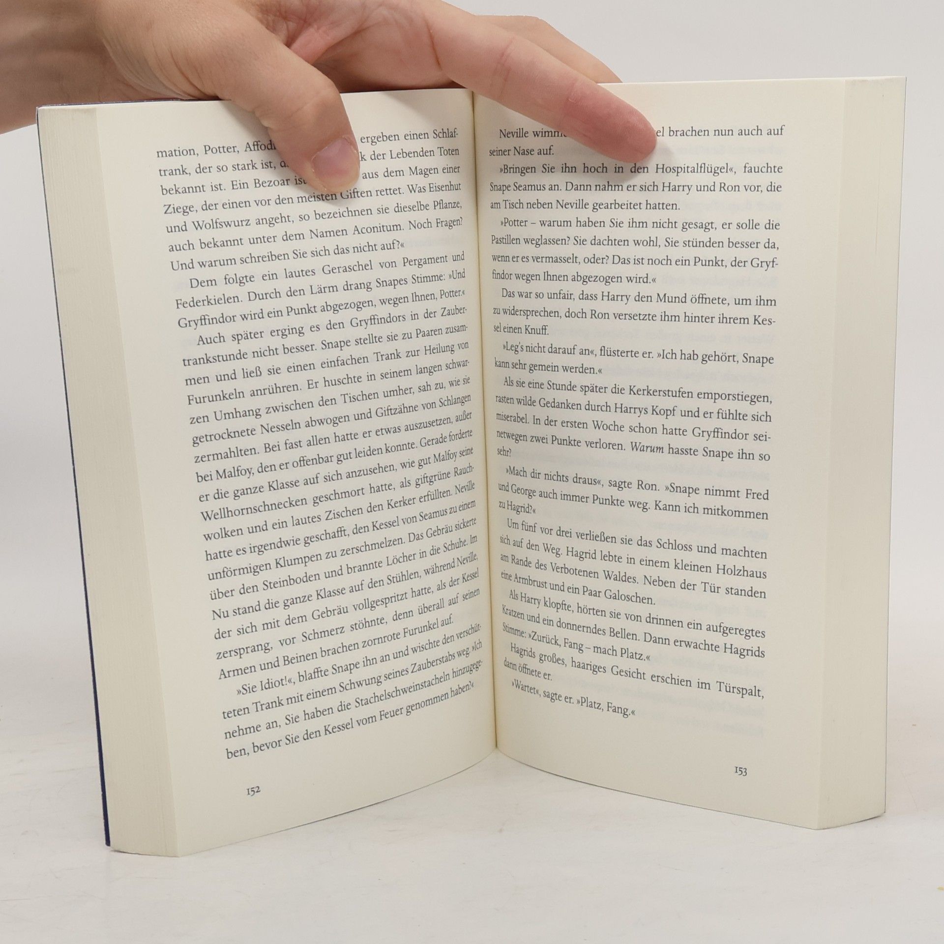 J. K. Rowling Harry Potter und der Stein der Weisen