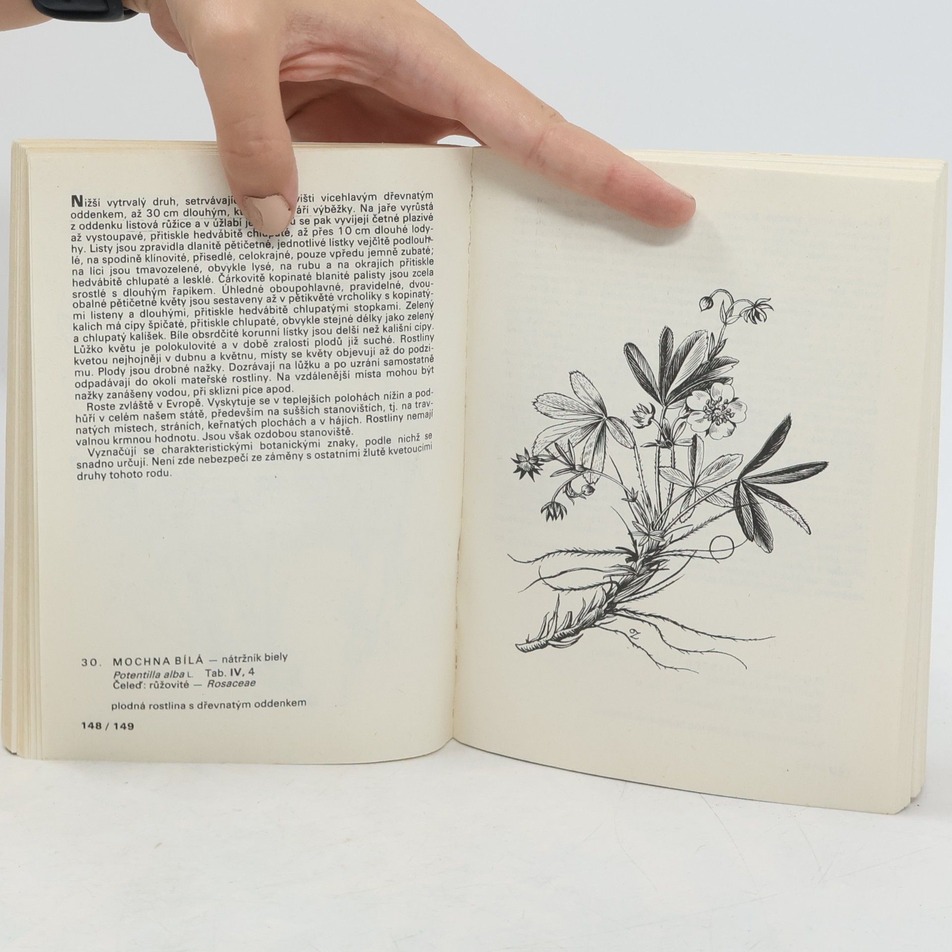 Otakar Zejbrlík Kapesní atlas. Rostliny luk, pastvin, vod a bažin