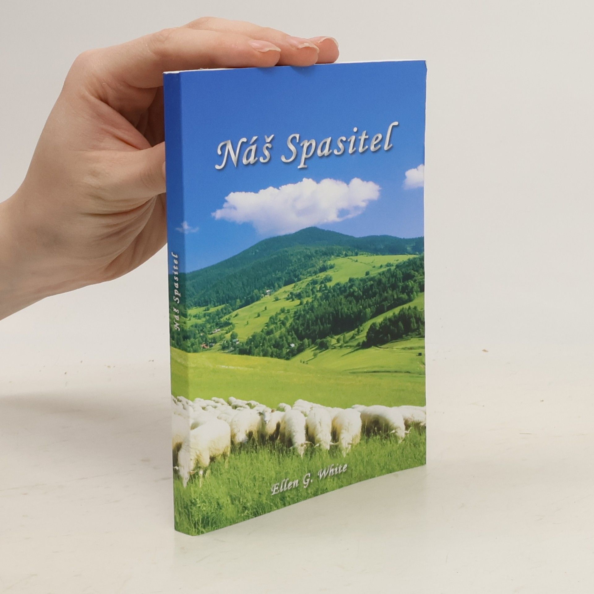 Náš spasitel