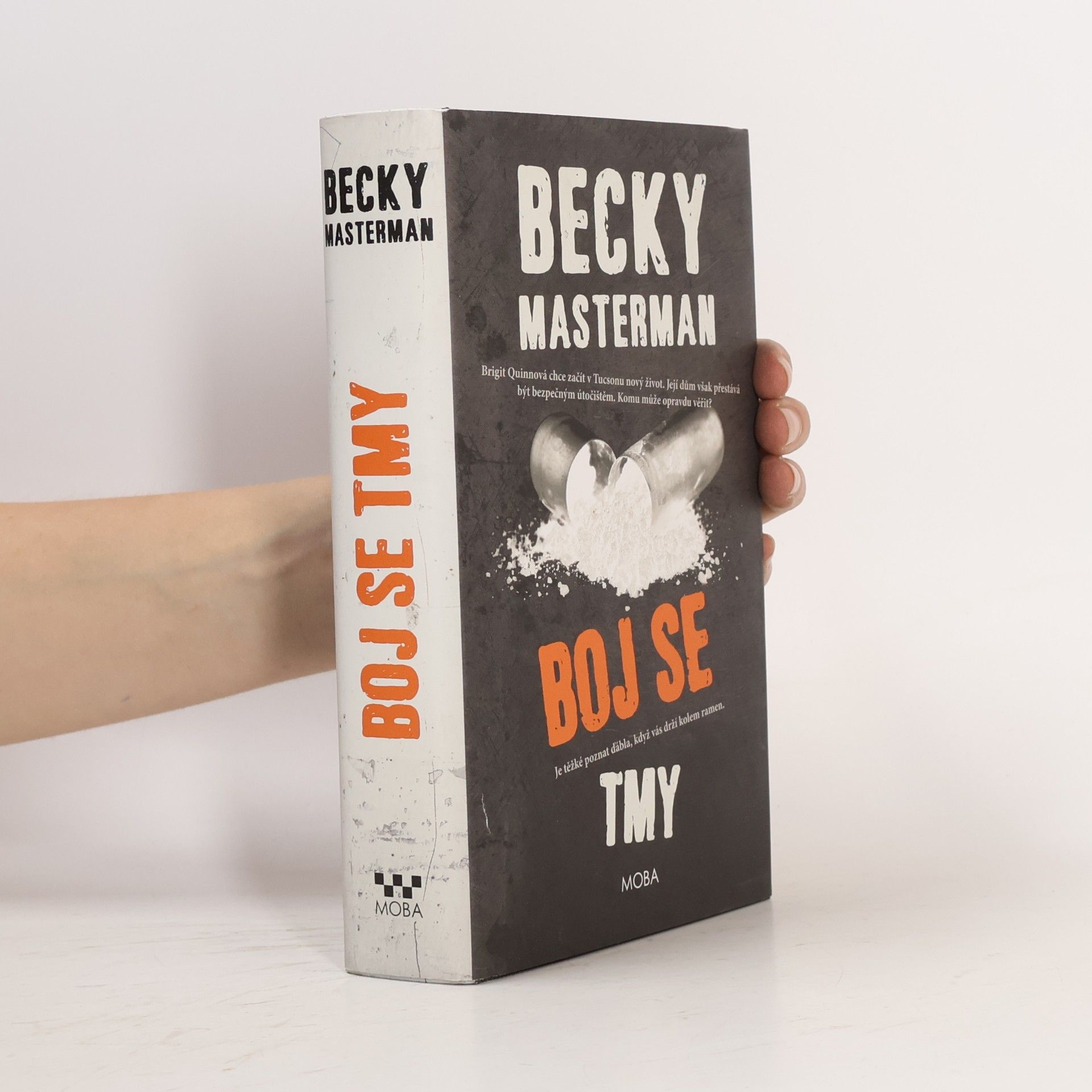 Becky Masterman Boj se tmy