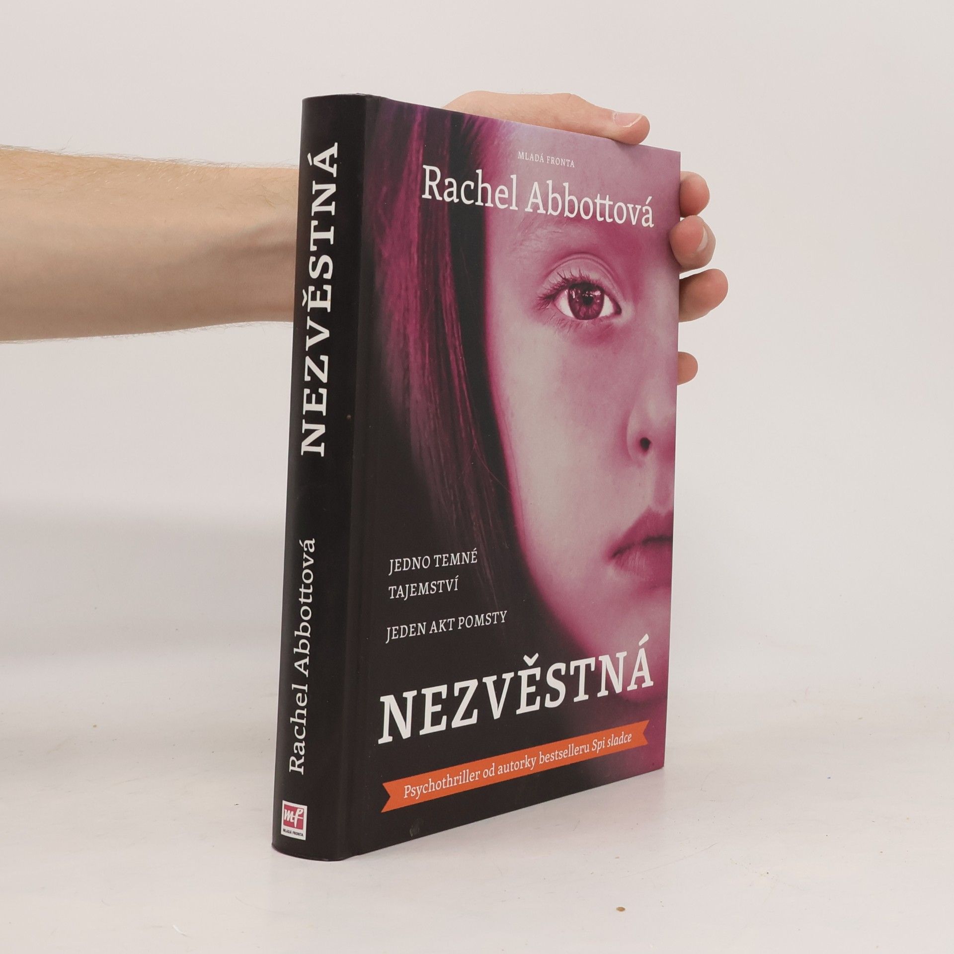Rachel Abbott Nezvěstná