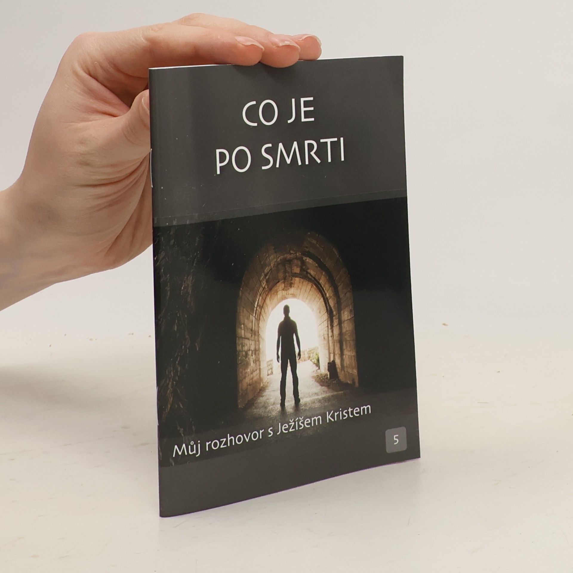 Various authors Můj rozhovor s Ježíšem Kristem: Co je po smrti