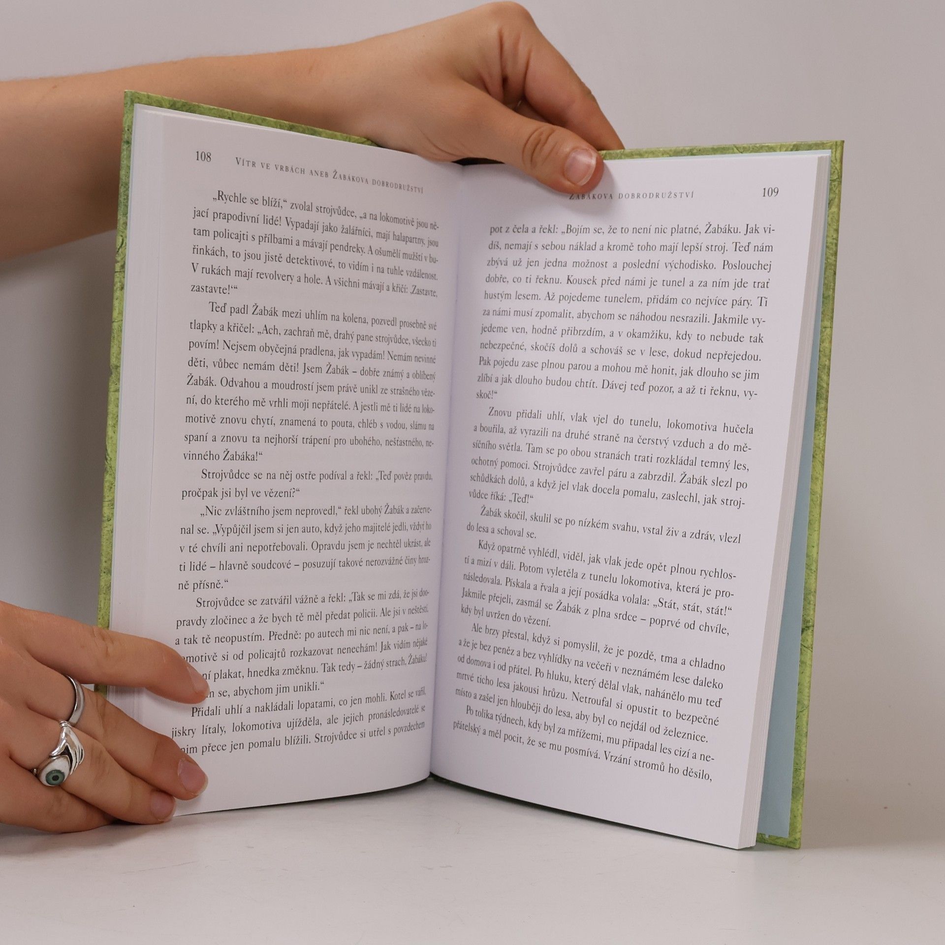Kenneth Grahame Vítr ve vrbách aneb Žabákova dobrodružství