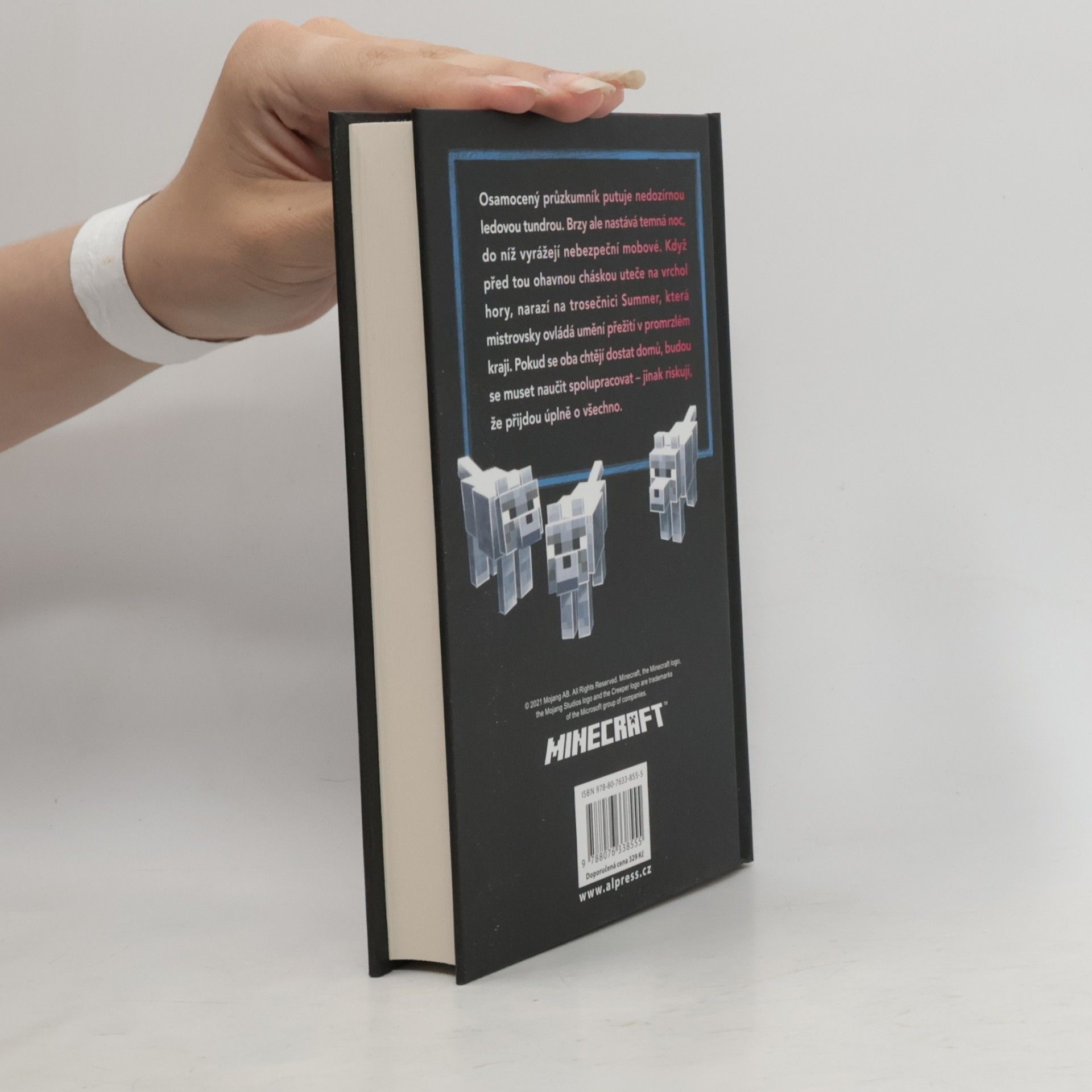 Max Brooks Minecraft. Hora.