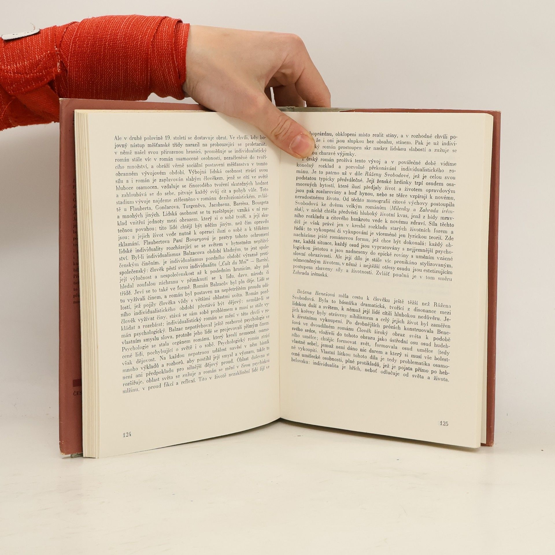 František Götz Literatura mezi dvěma válkami