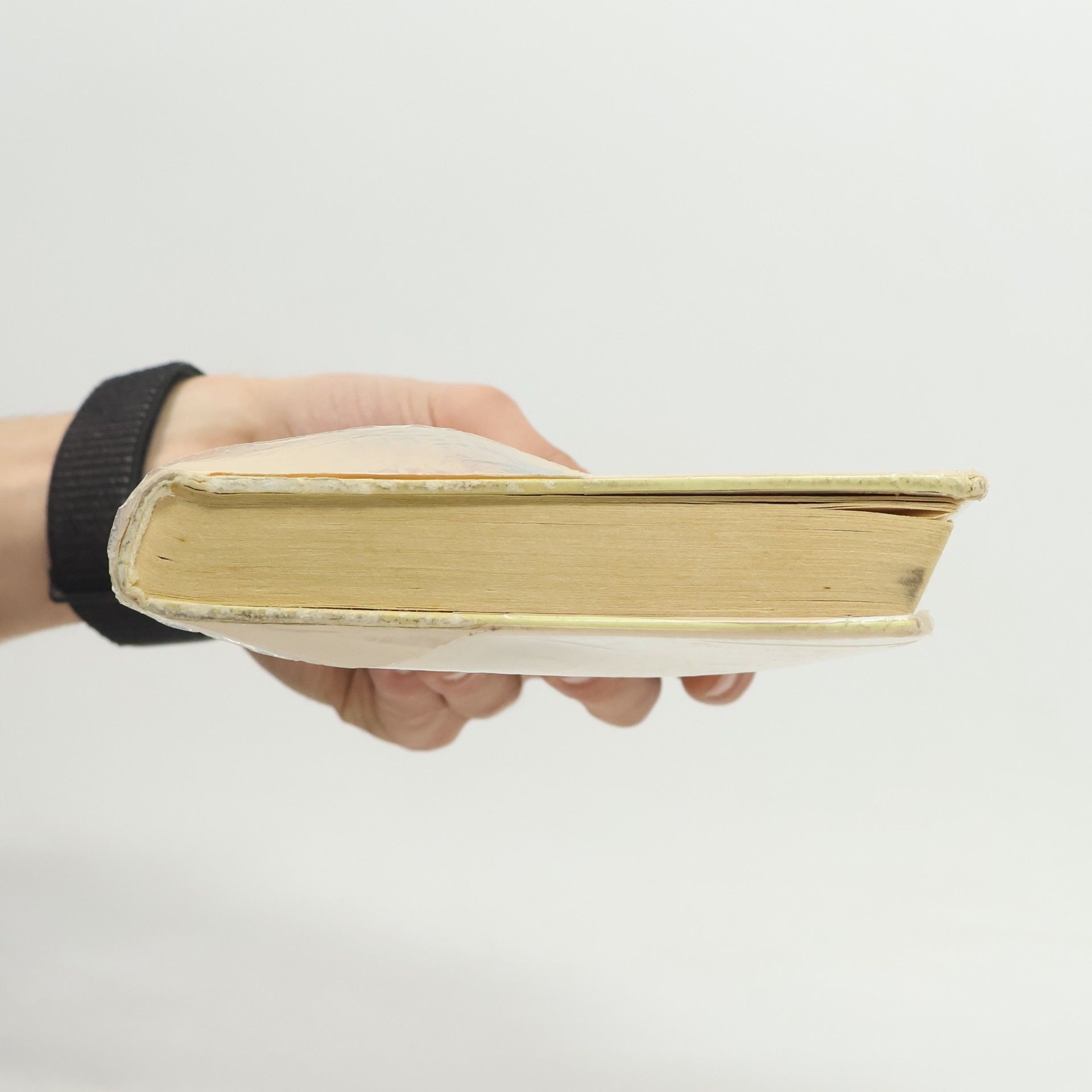 Rosamunde Pilcher Spící tygr