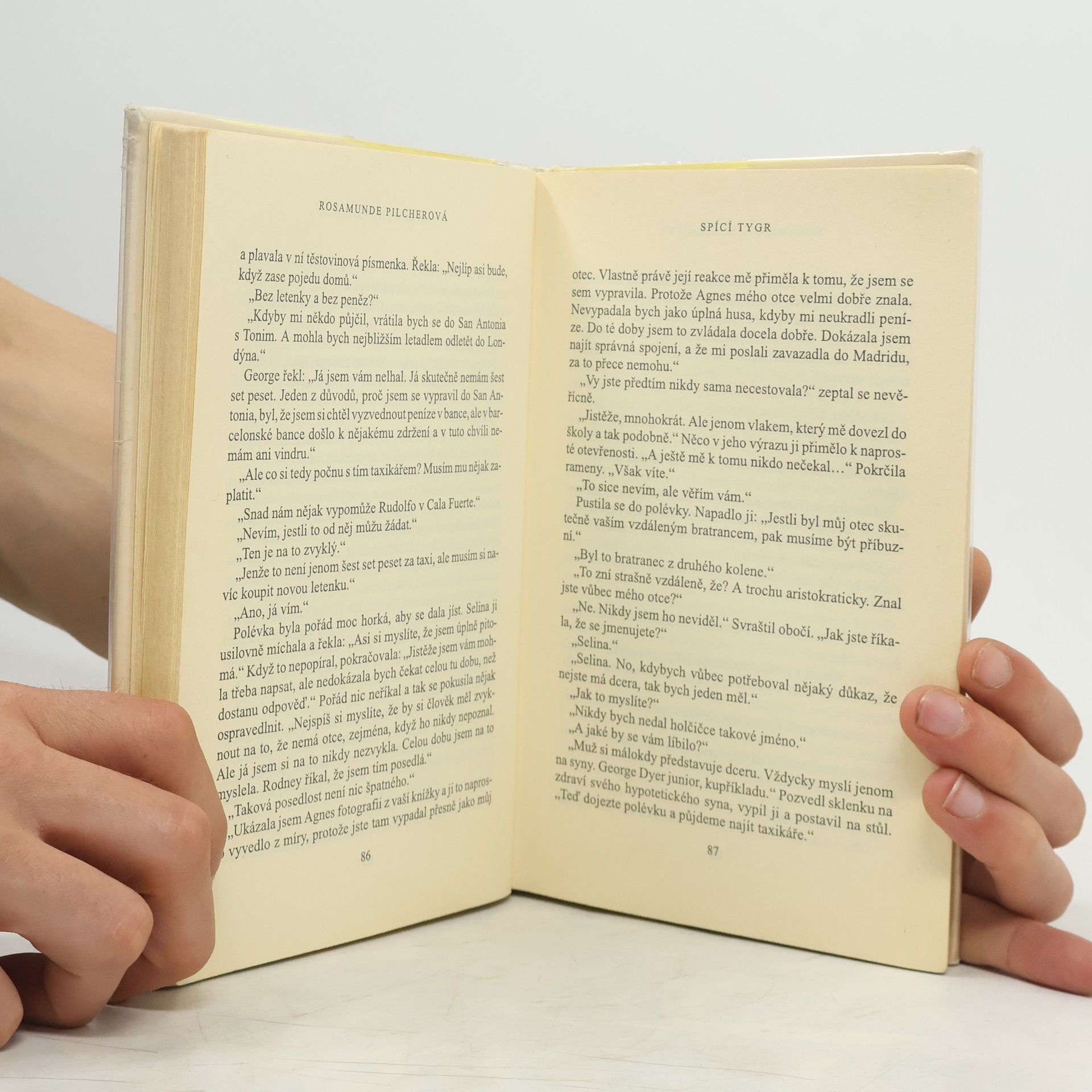 Rosamunde Pilcher Spící tygr