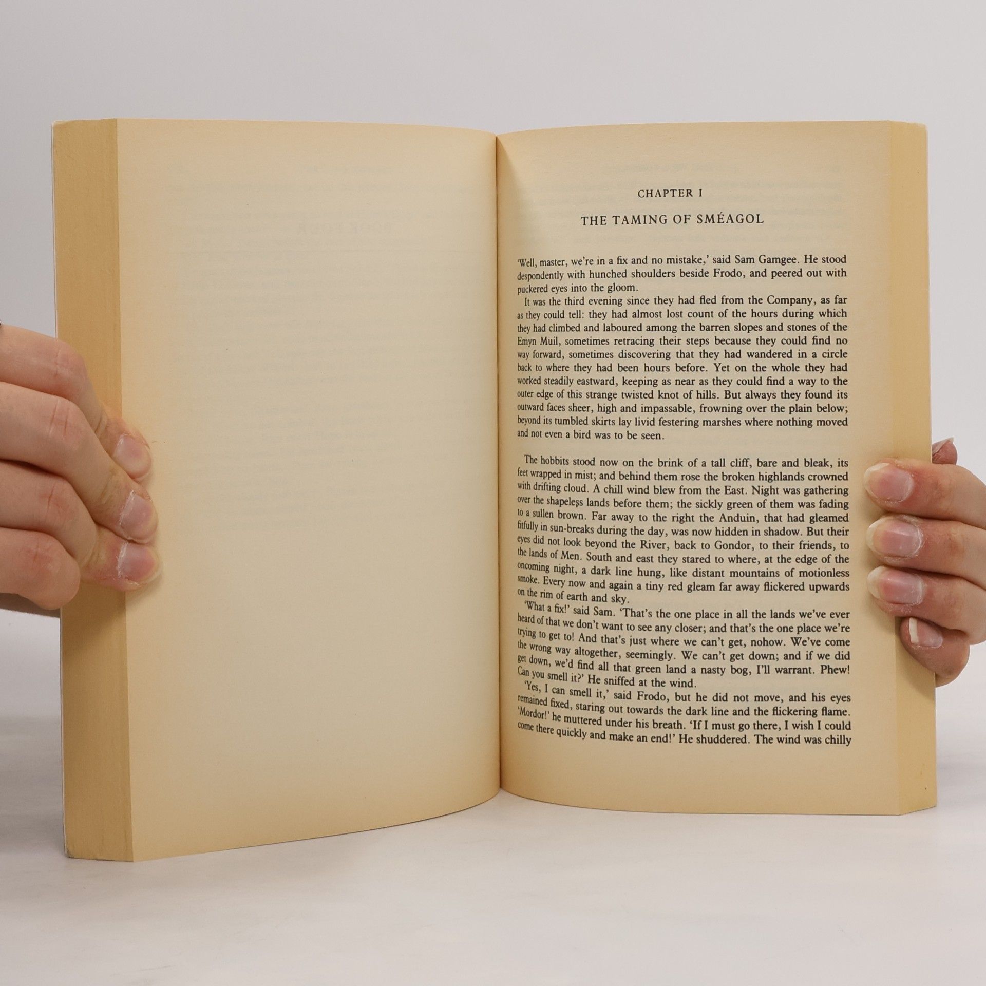 J. R. R. Tolkien The Lord of the Rings. The Two Towers