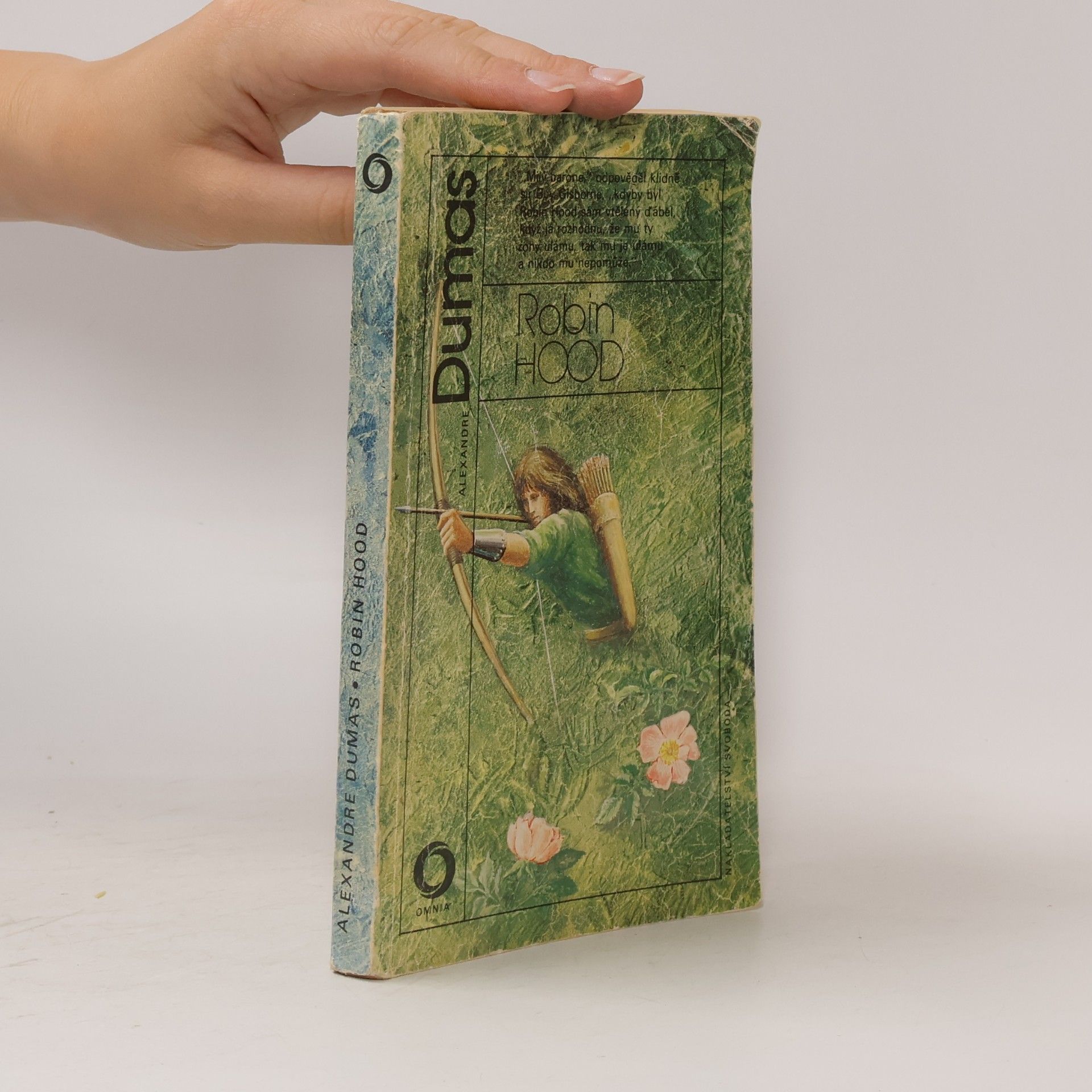 Alexandre Dumas Robin Hood