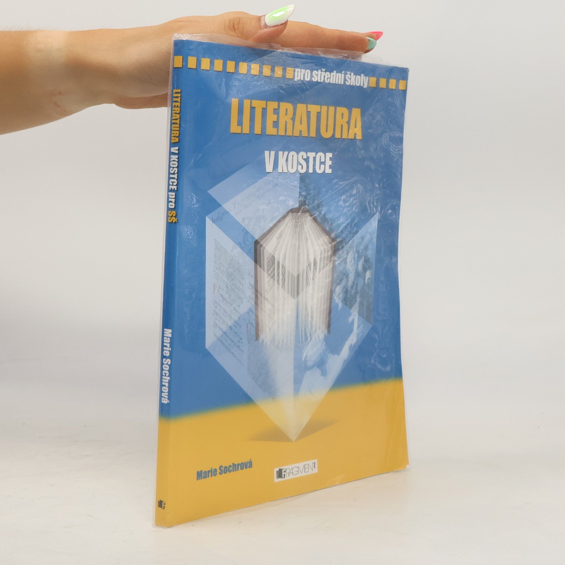 Marie Sochrová Literatura v kostce : pro střední školy