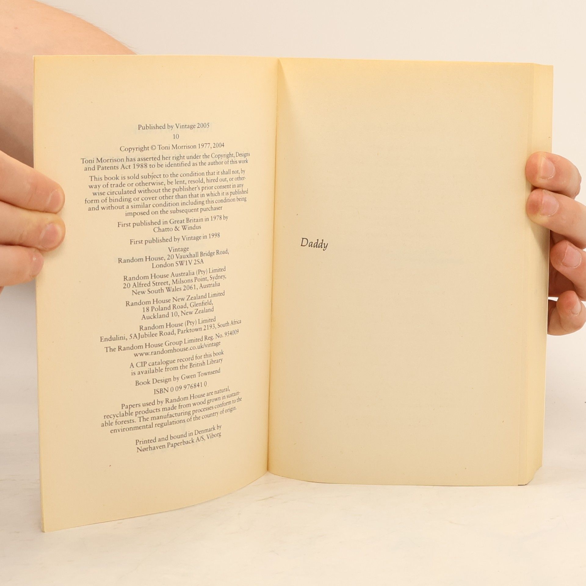 Toni Morrison Song of Solomon