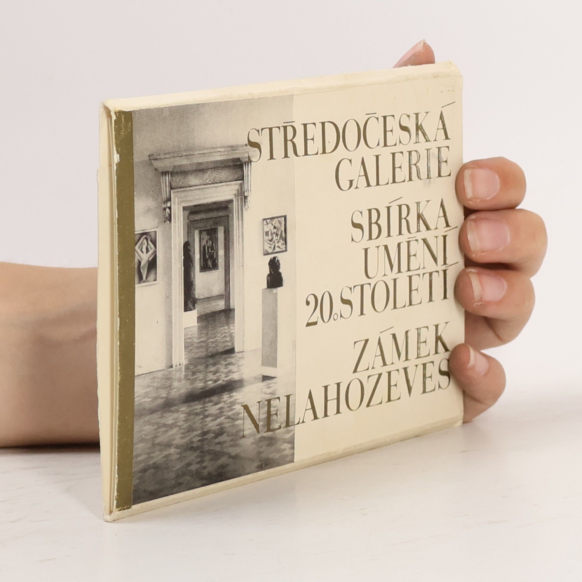 Kolektiv autorů Sbírka umění 20. století. Zámek Nelahozeves