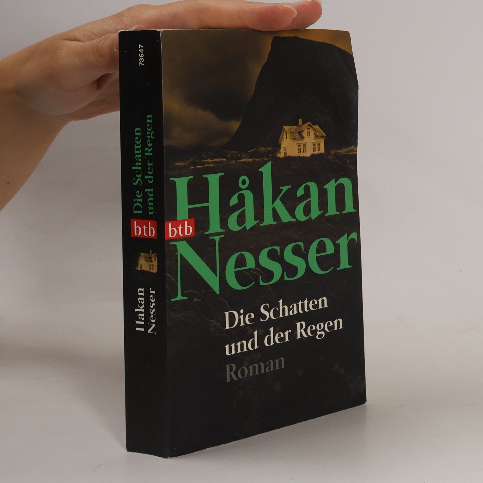 Håkan Nesser Die Schatten und der Regen