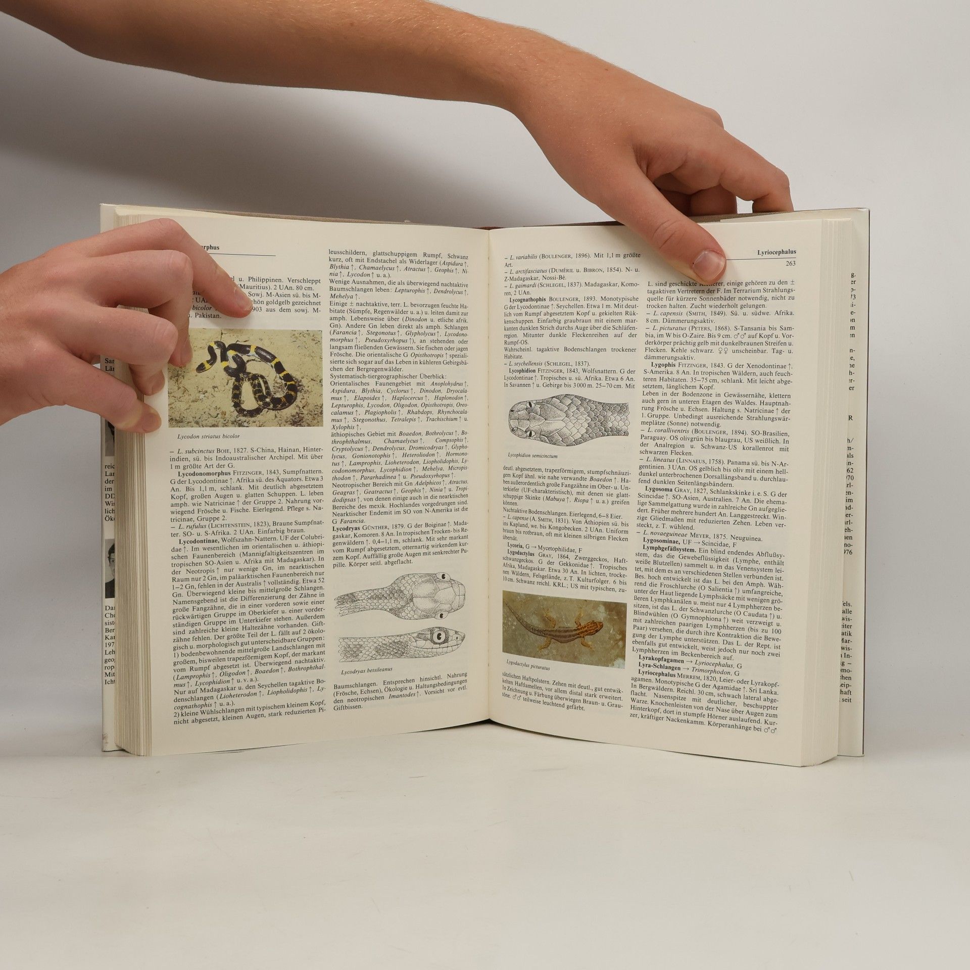 Fritz Jürgen Obst Lexikon der Terraristik und Herpetologie