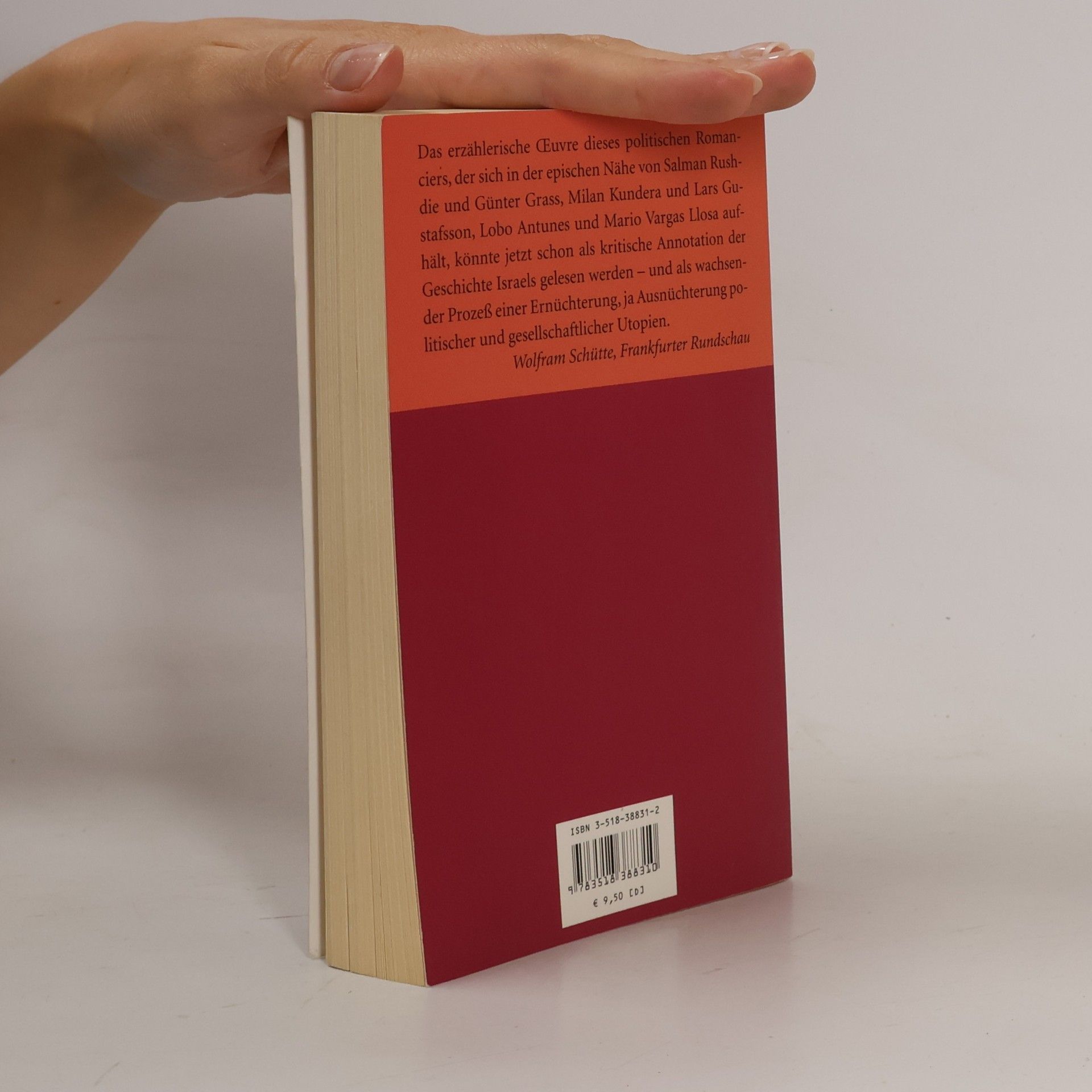 Amos Oz Der dritte Zustand