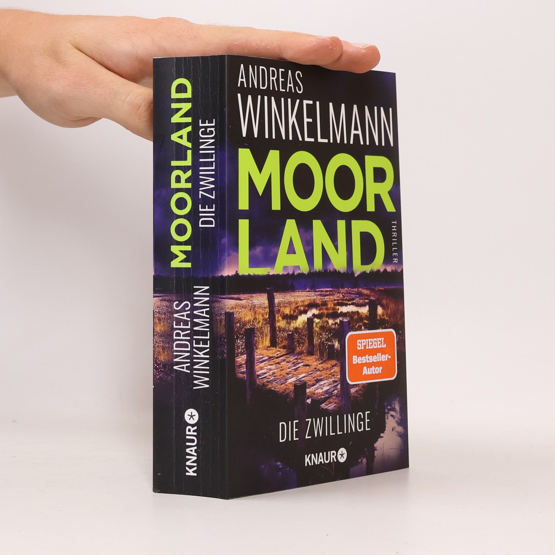 Hendrik Winter Moorland. Die Zwillinge